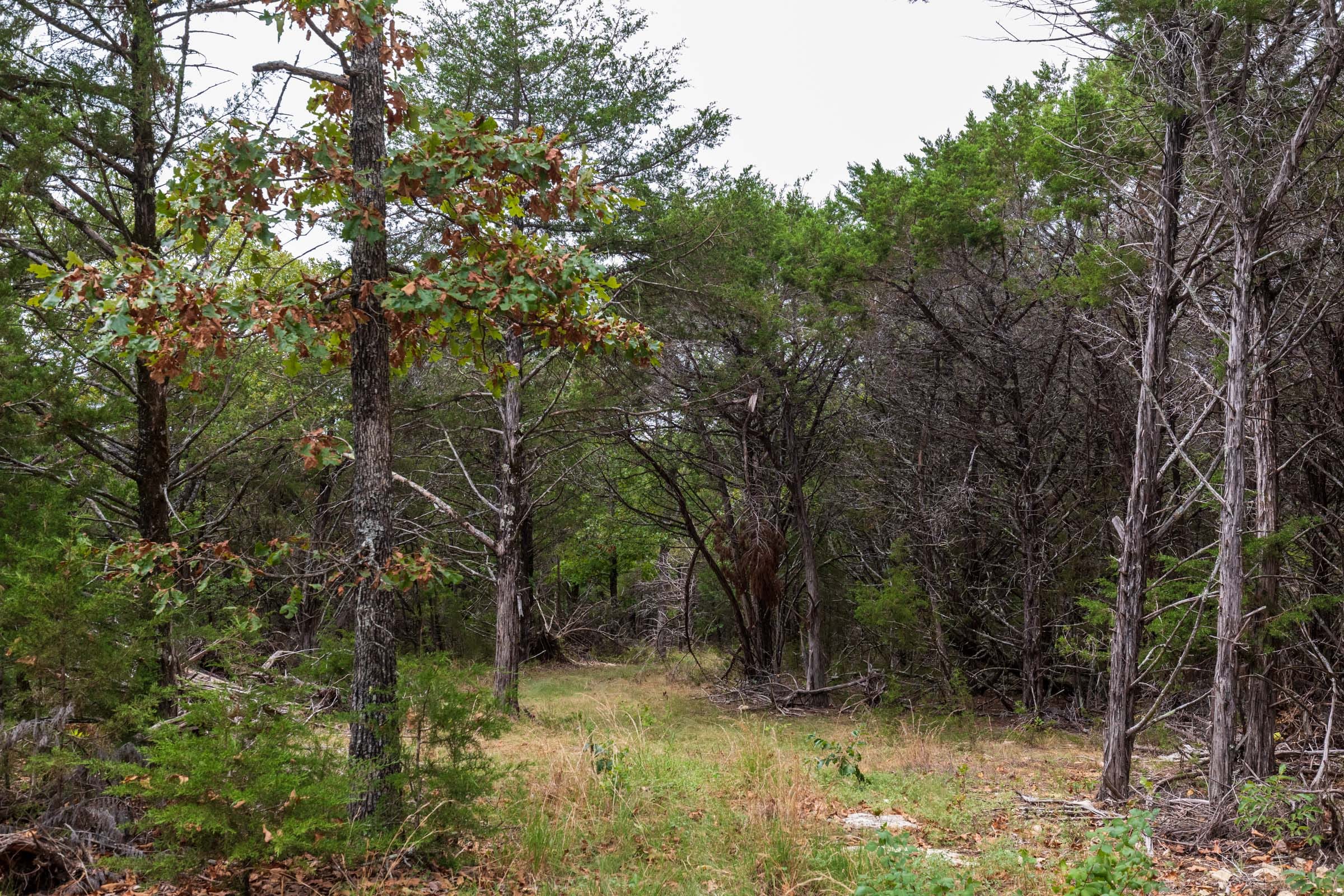 Heritage Bend Tract 35 photo 19