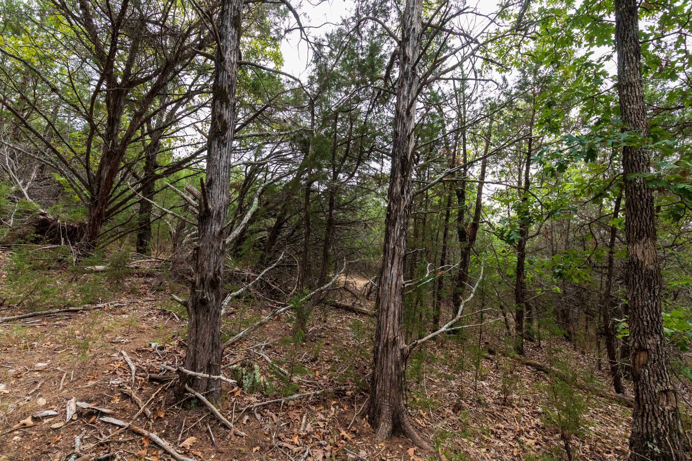 Heritage Bend Tract 35 photo 23
