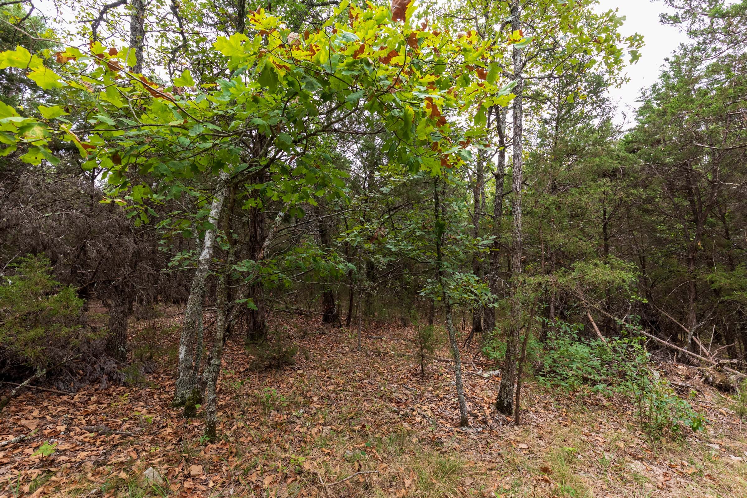 Heritage Bend Tract 35 photo 21