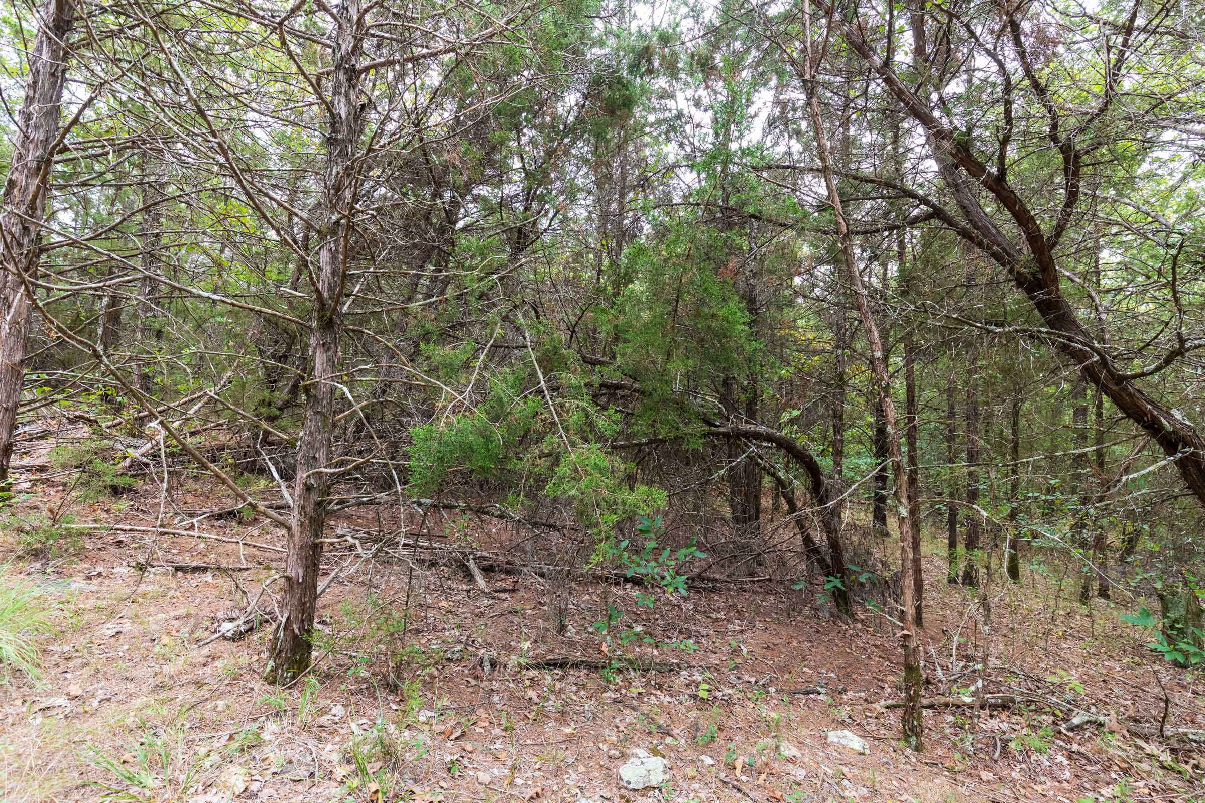 Heritage Bend Tract 35 photo 22