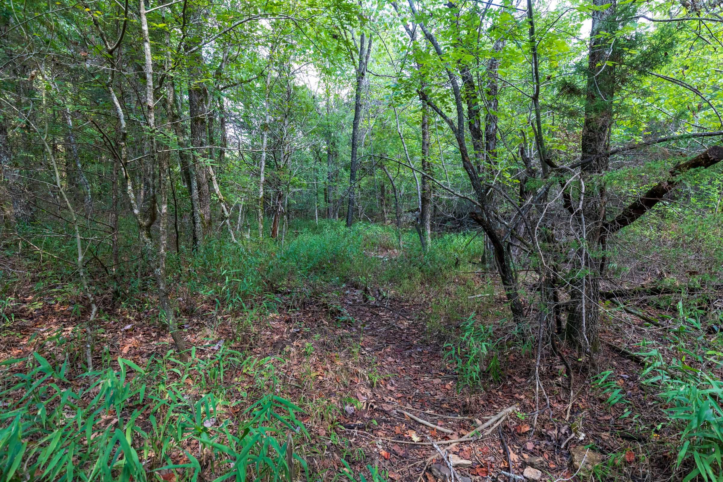Heritage Bend Tract 35 photo 24