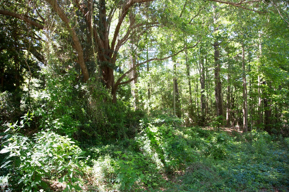 Rayburn Country Tract 14 photo 3