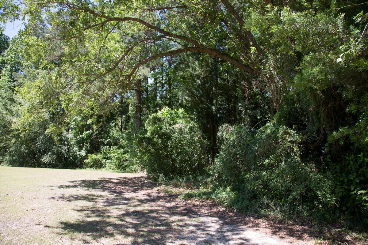 Rayburn Country Tract 14 photo 8