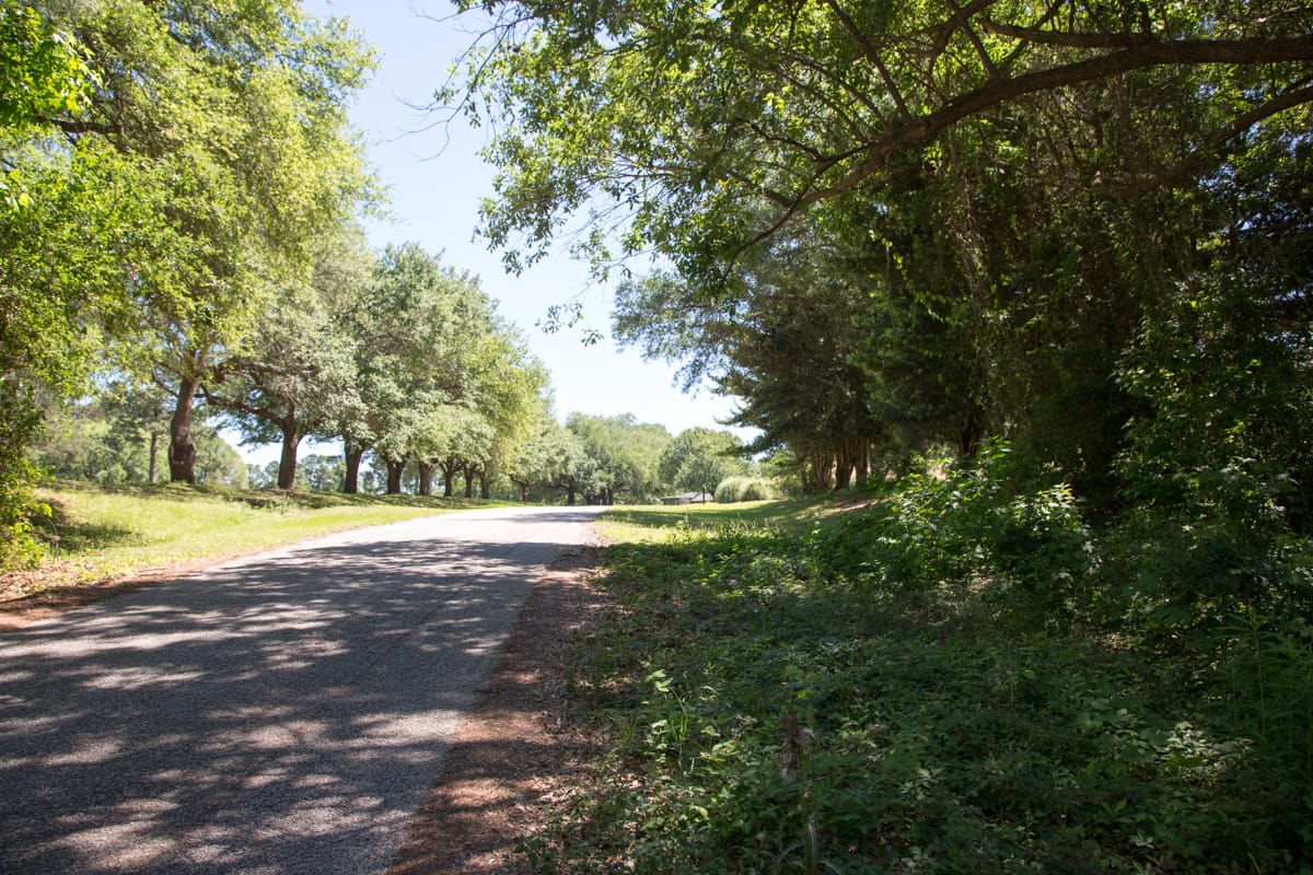 Rayburn Country Tract 14 photo 2