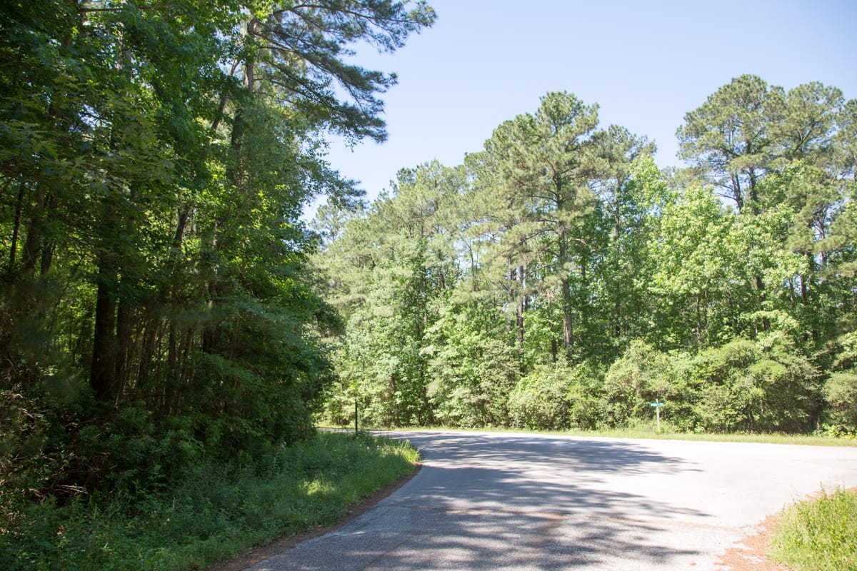 Rayburn Country Tract 14 photo 9