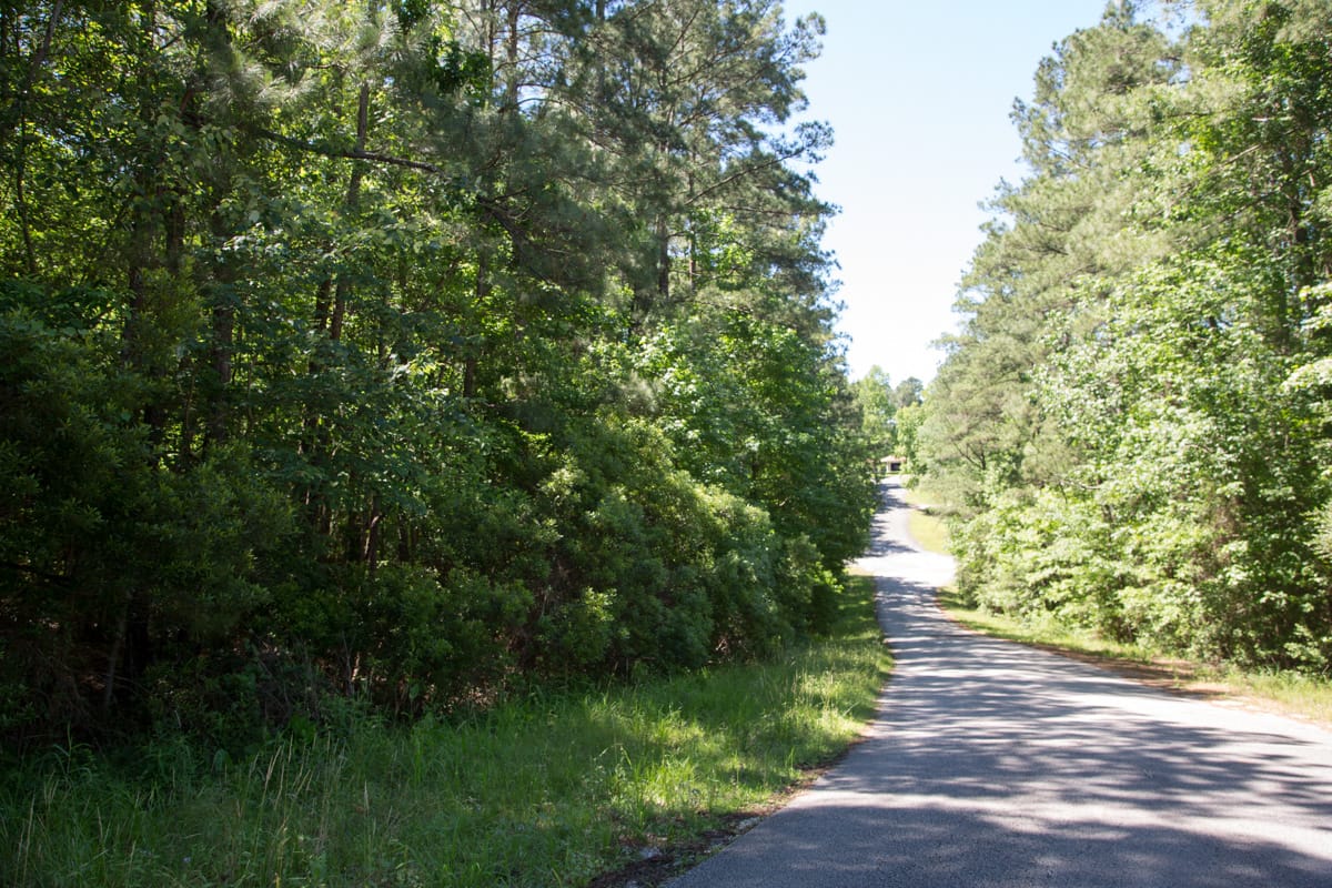 Rayburn Country Tract 14 photo 10