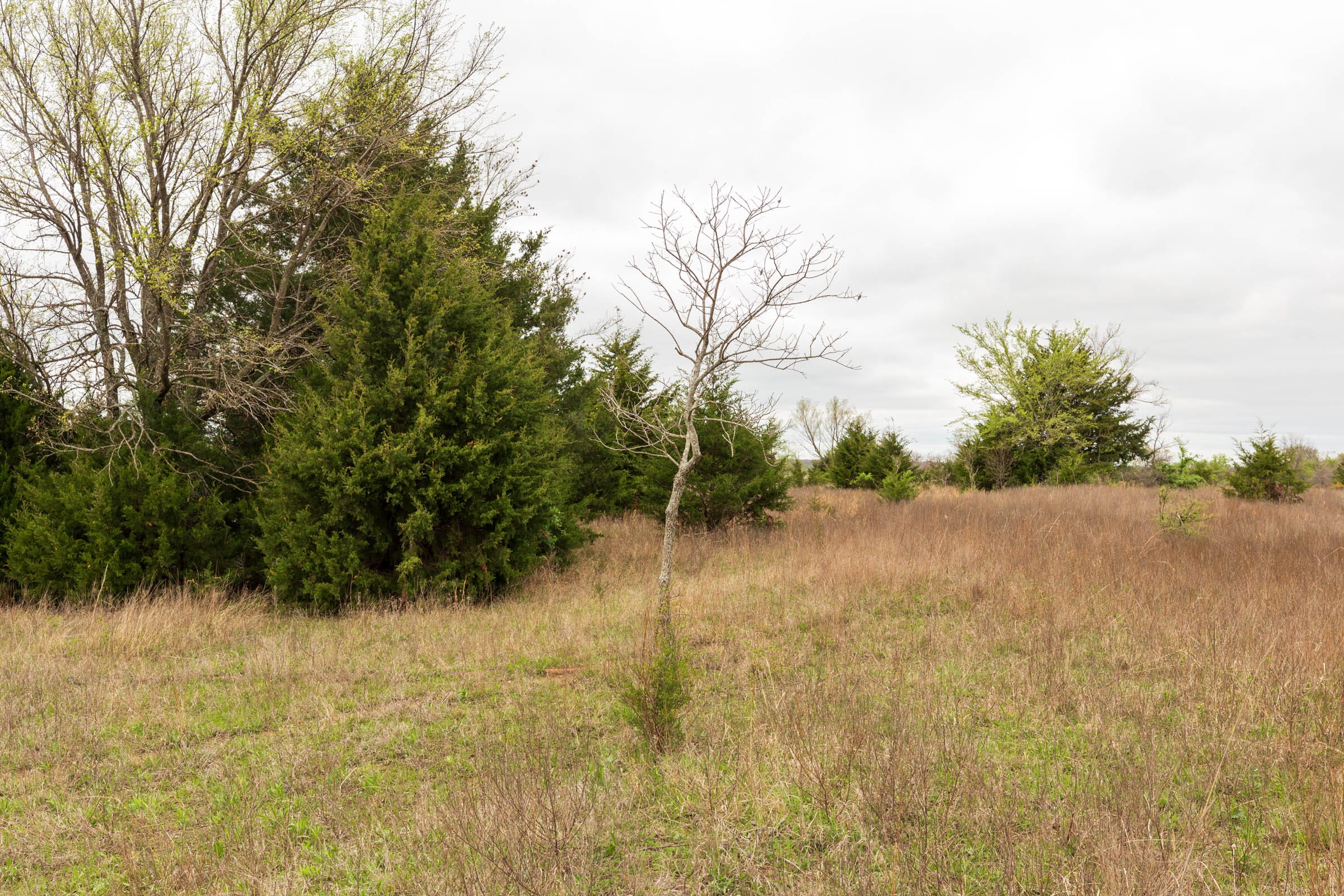 Moonrise Meadows Tract 17 photo 6