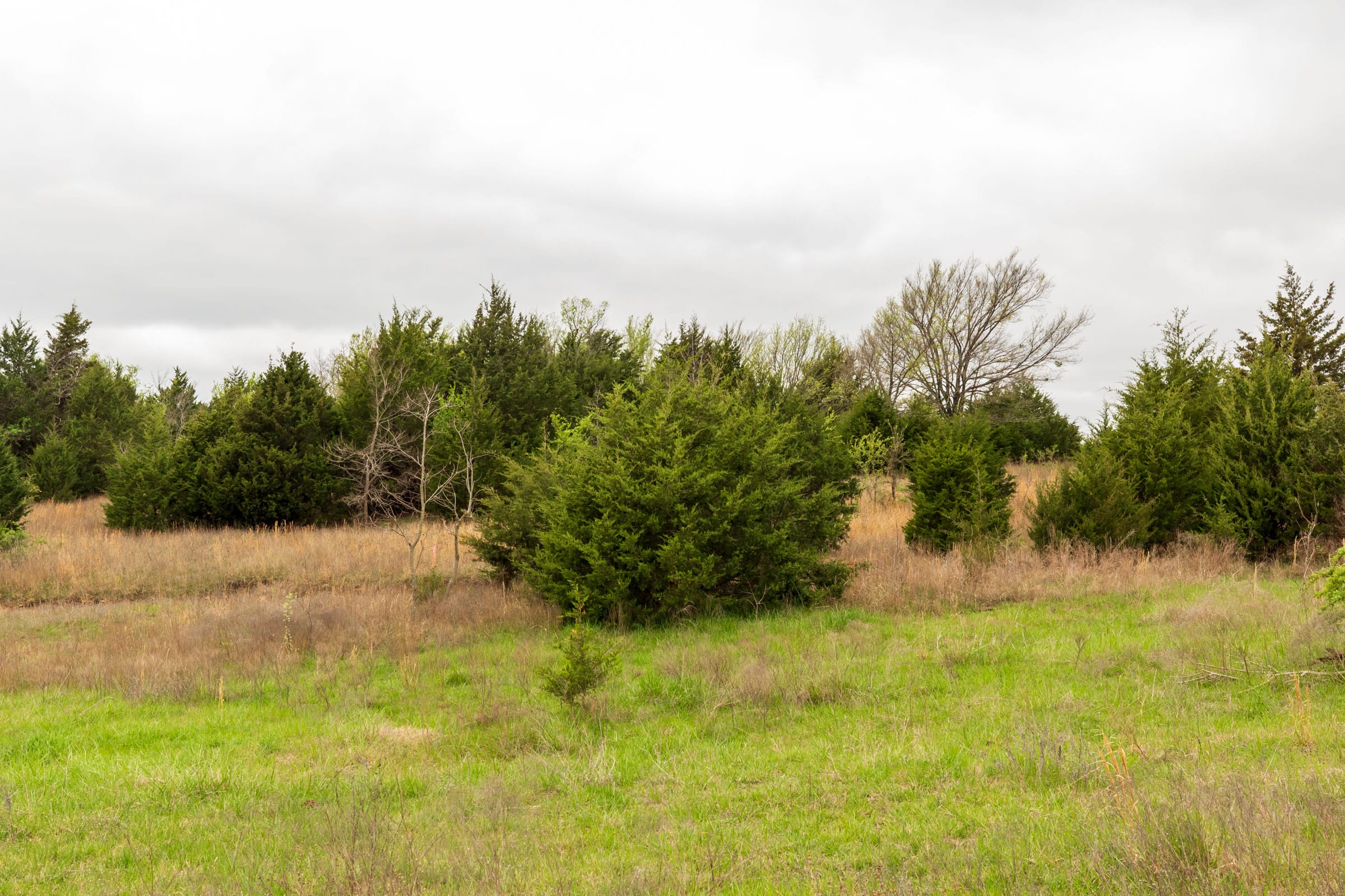 Moonrise Meadows Tract 17 photo 9