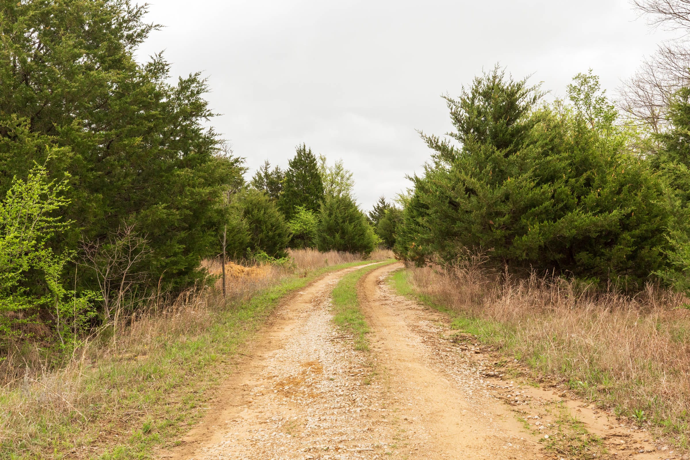 Moonrise Meadows Tract 17 photo 1