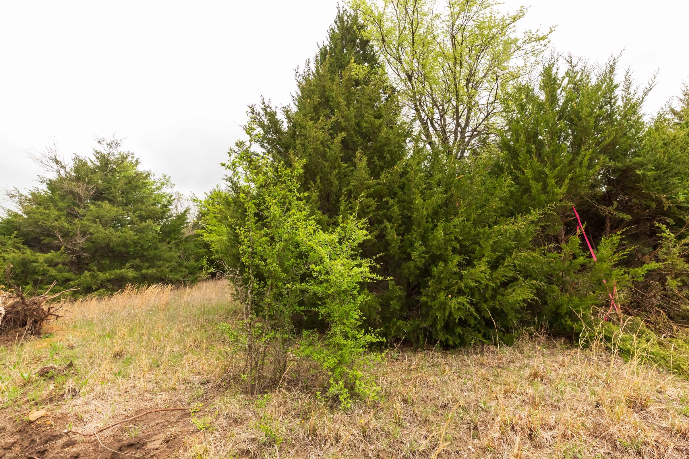 Moonrise Meadows Tract 17 photo 12