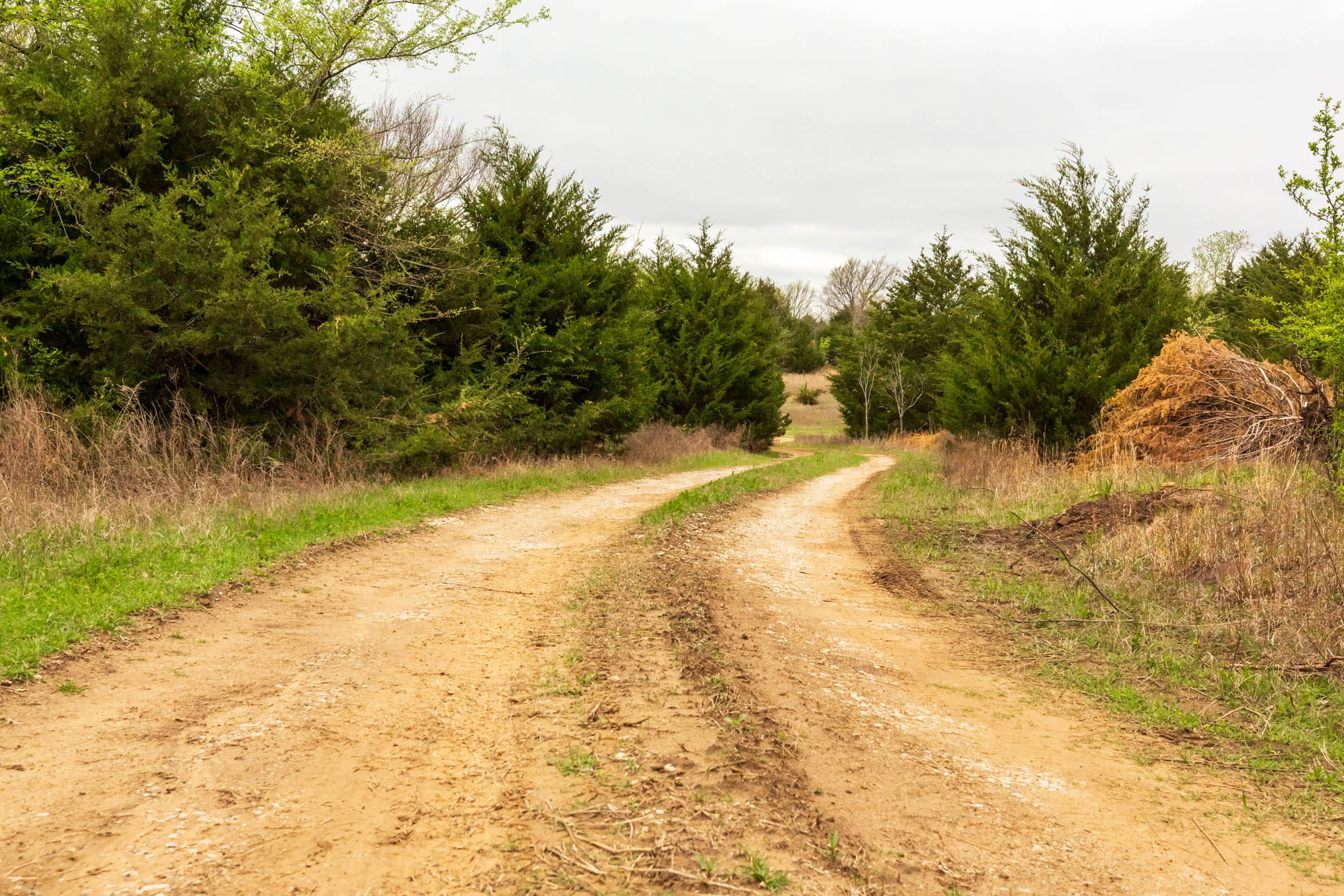 Moonrise Meadows Tract 17 photo 8