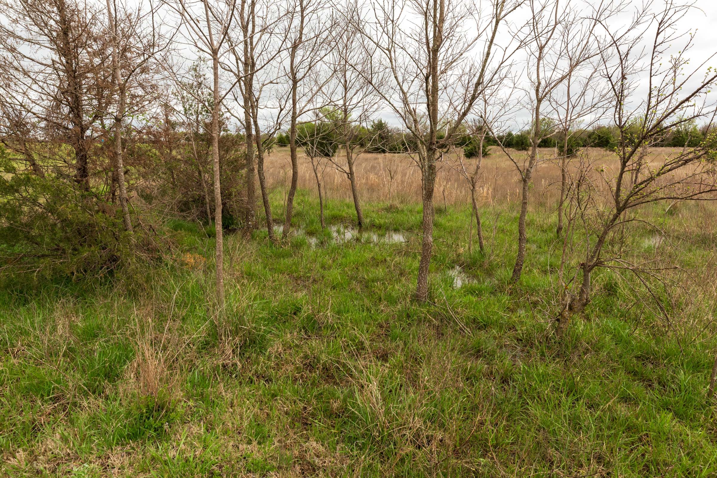 Moonrise Meadows Tract 17 photo 13