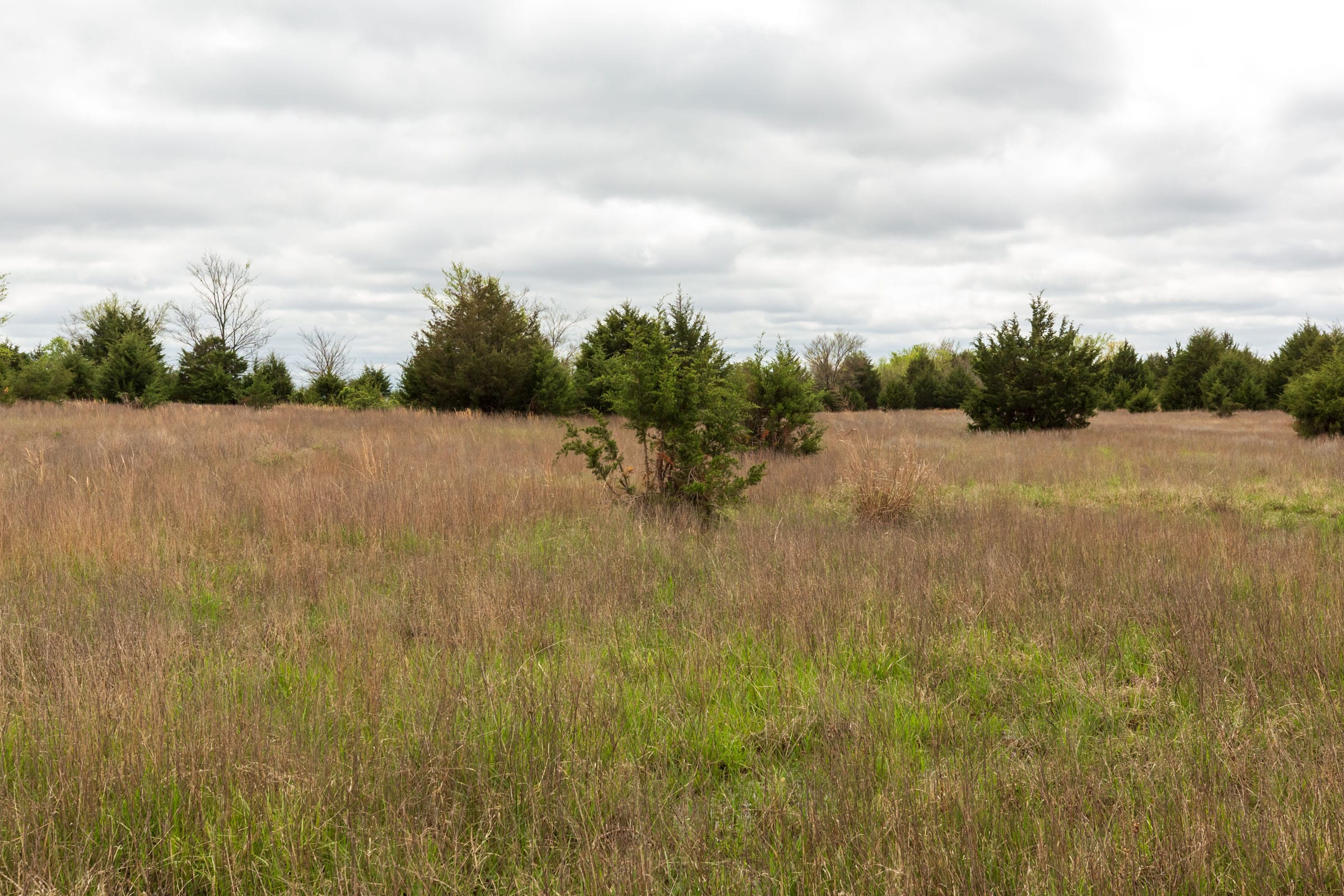 Moonrise Meadows Tract 17 photo 11