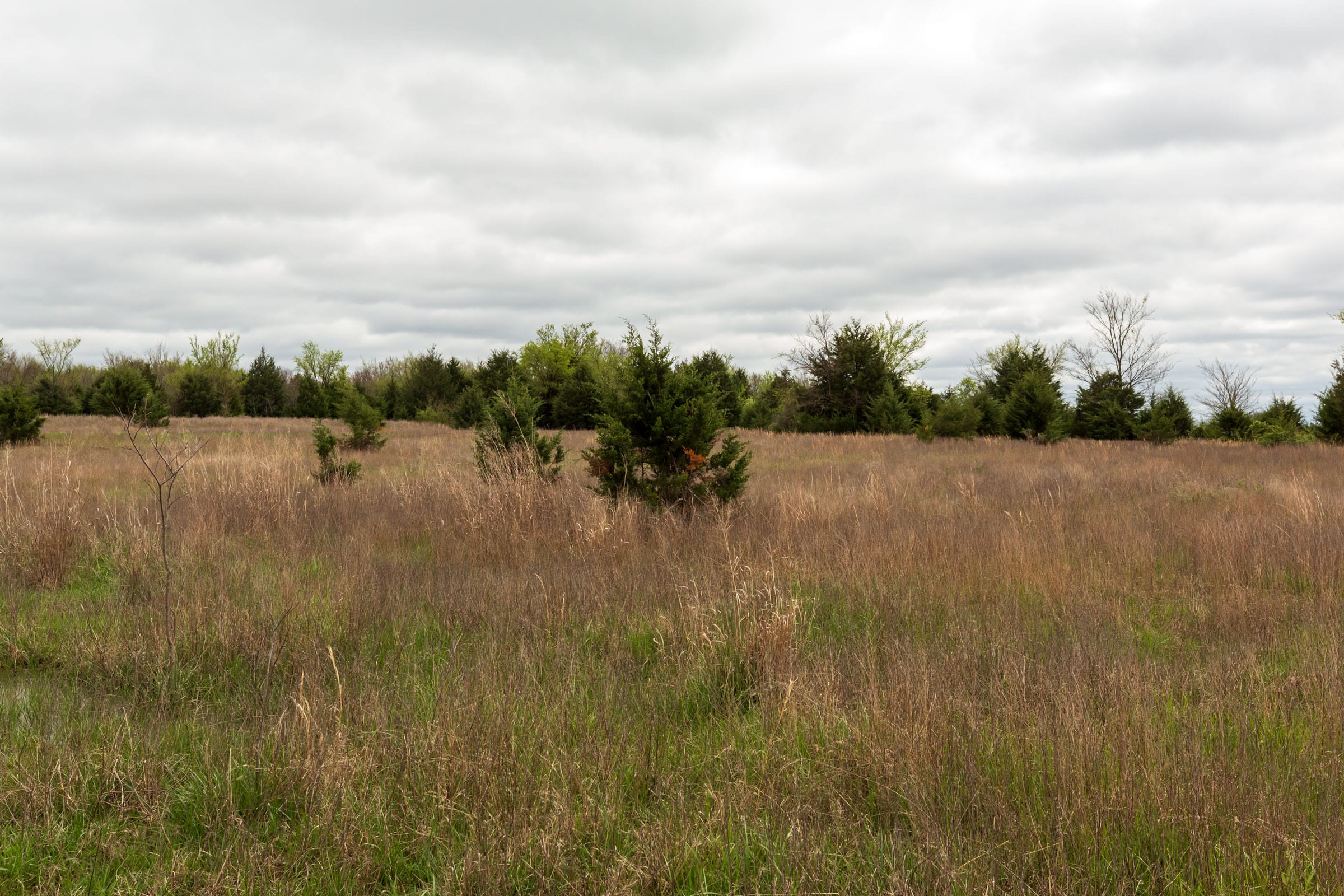 Moonrise Meadows Tract 17 photo 14