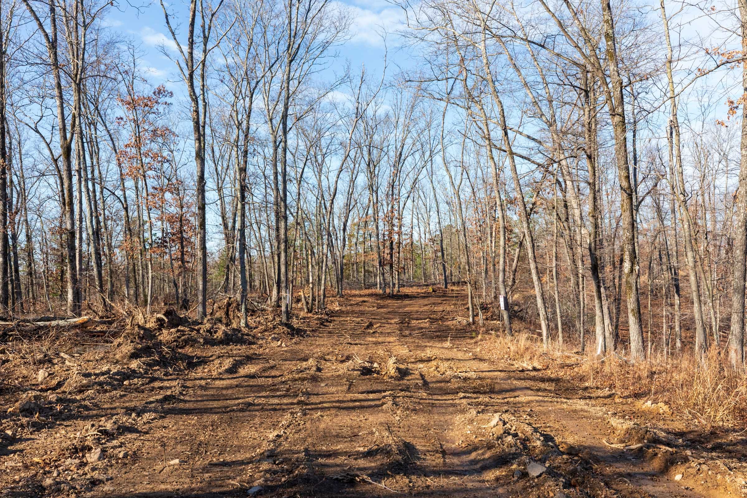 Cypress Ridge Tract 37 photo 1