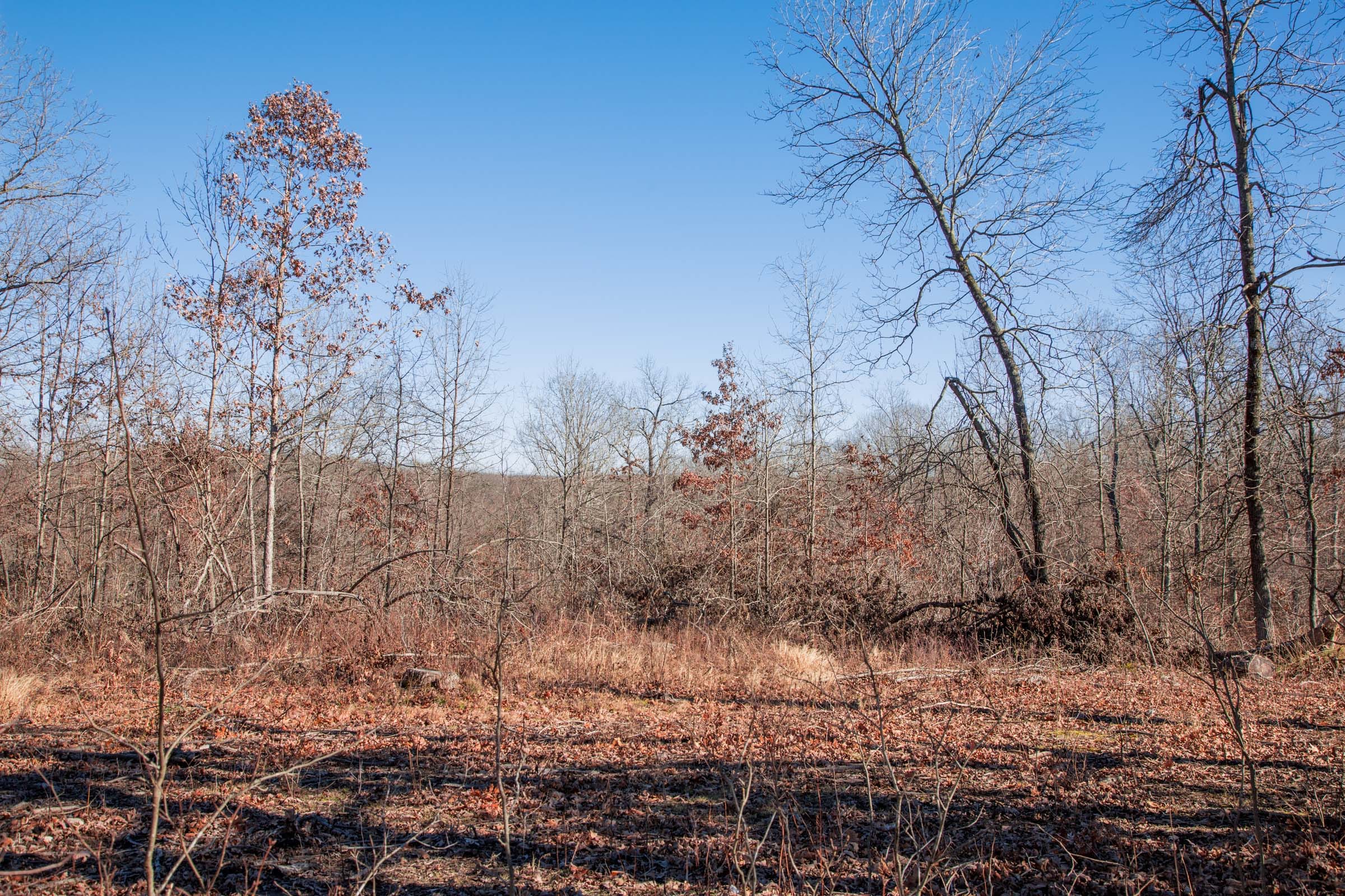 Buffalo Hills Tract 22 photo 2