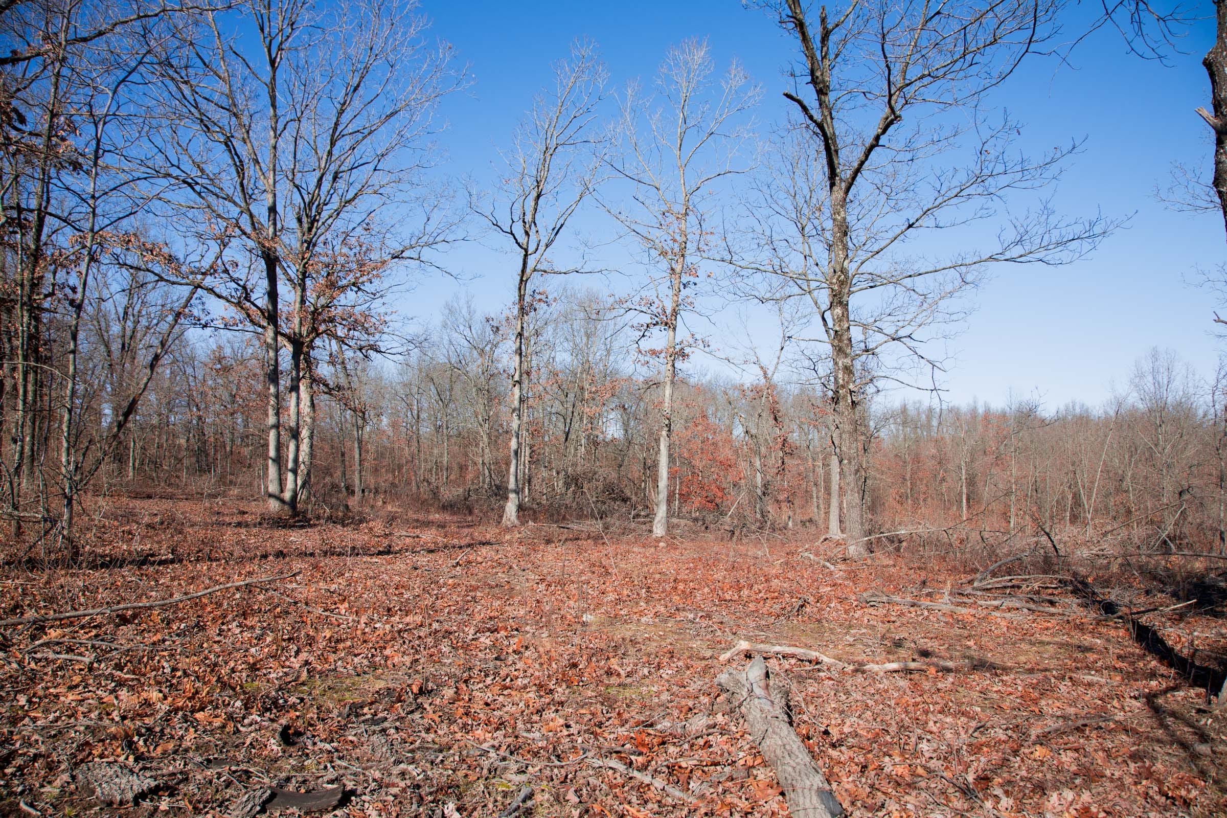 Buffalo Hills Tract 22 photo 3