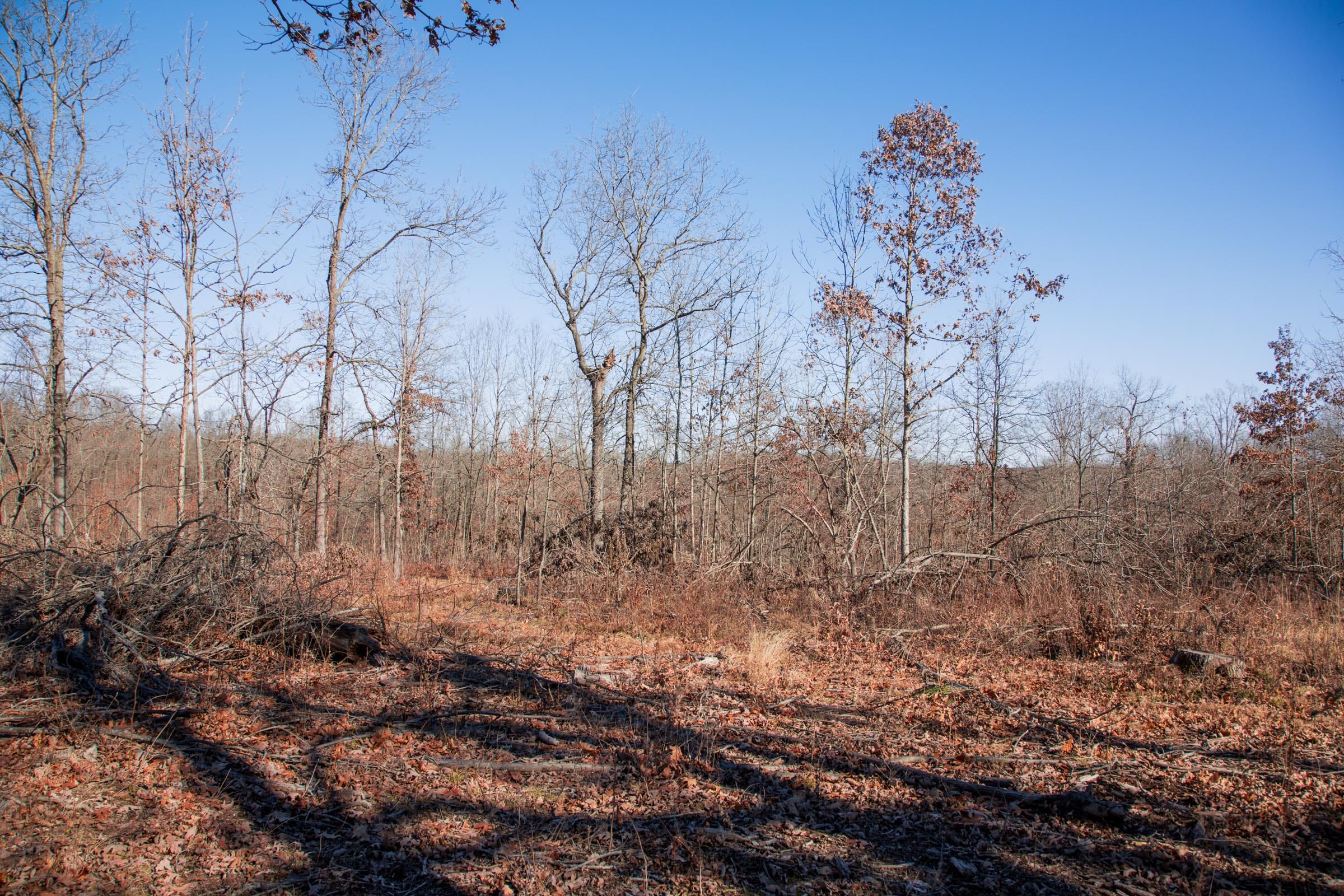Buffalo Hills Tract 22 photo 4