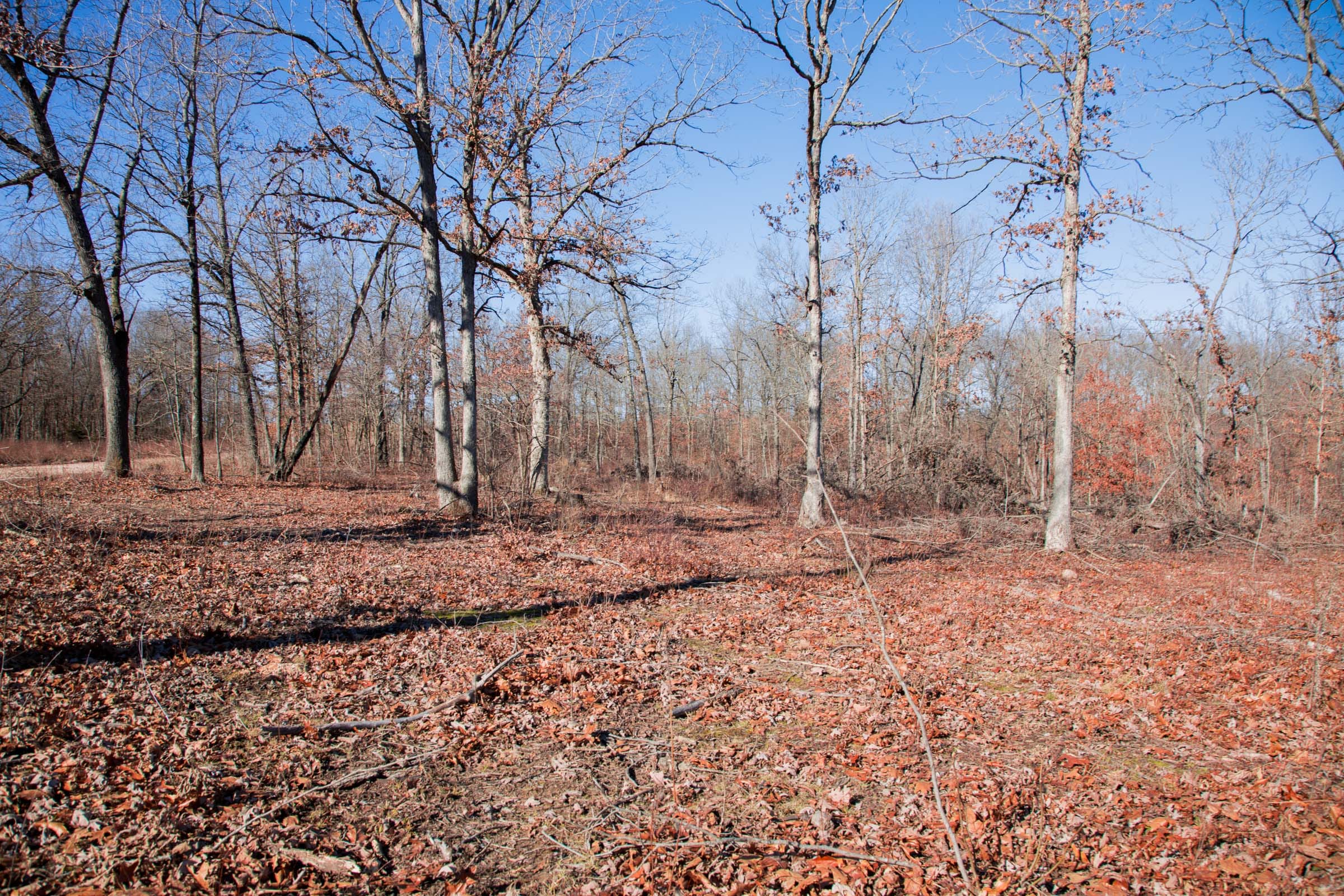 Buffalo Hills Tract 22 photo 5