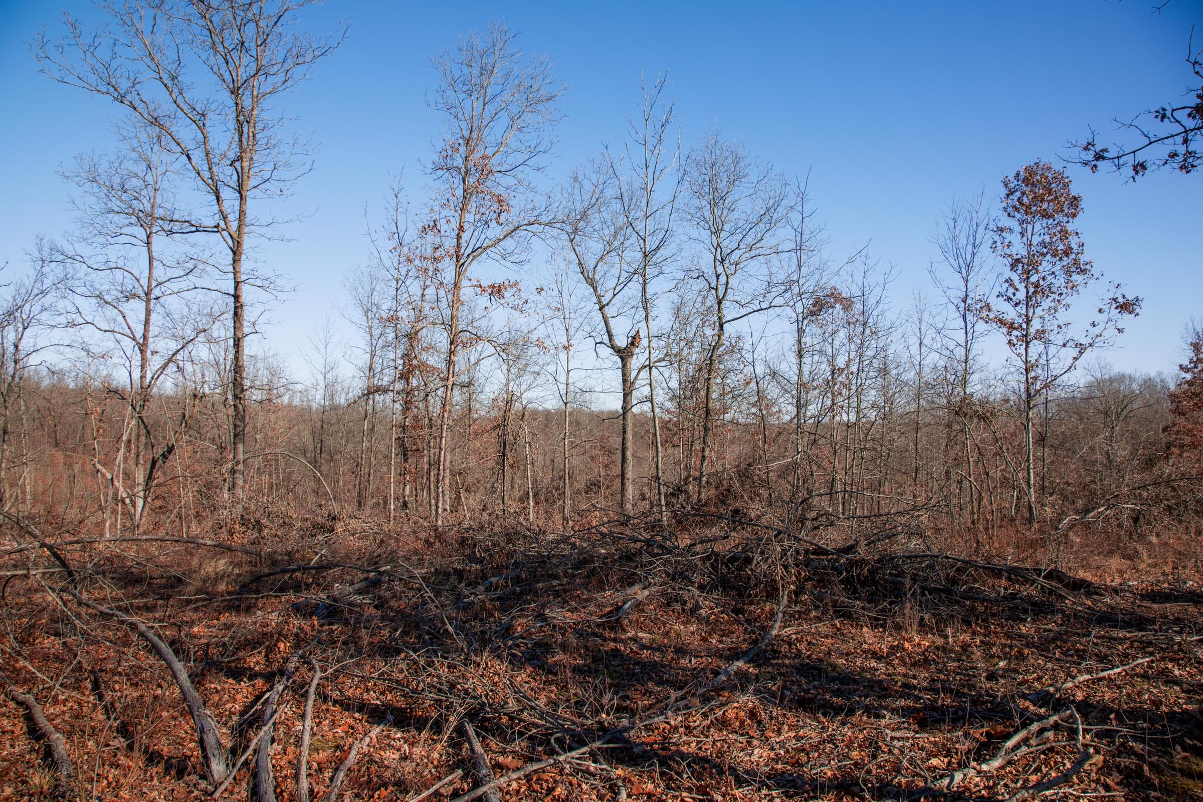 Buffalo Hills Tract 22 photo 6