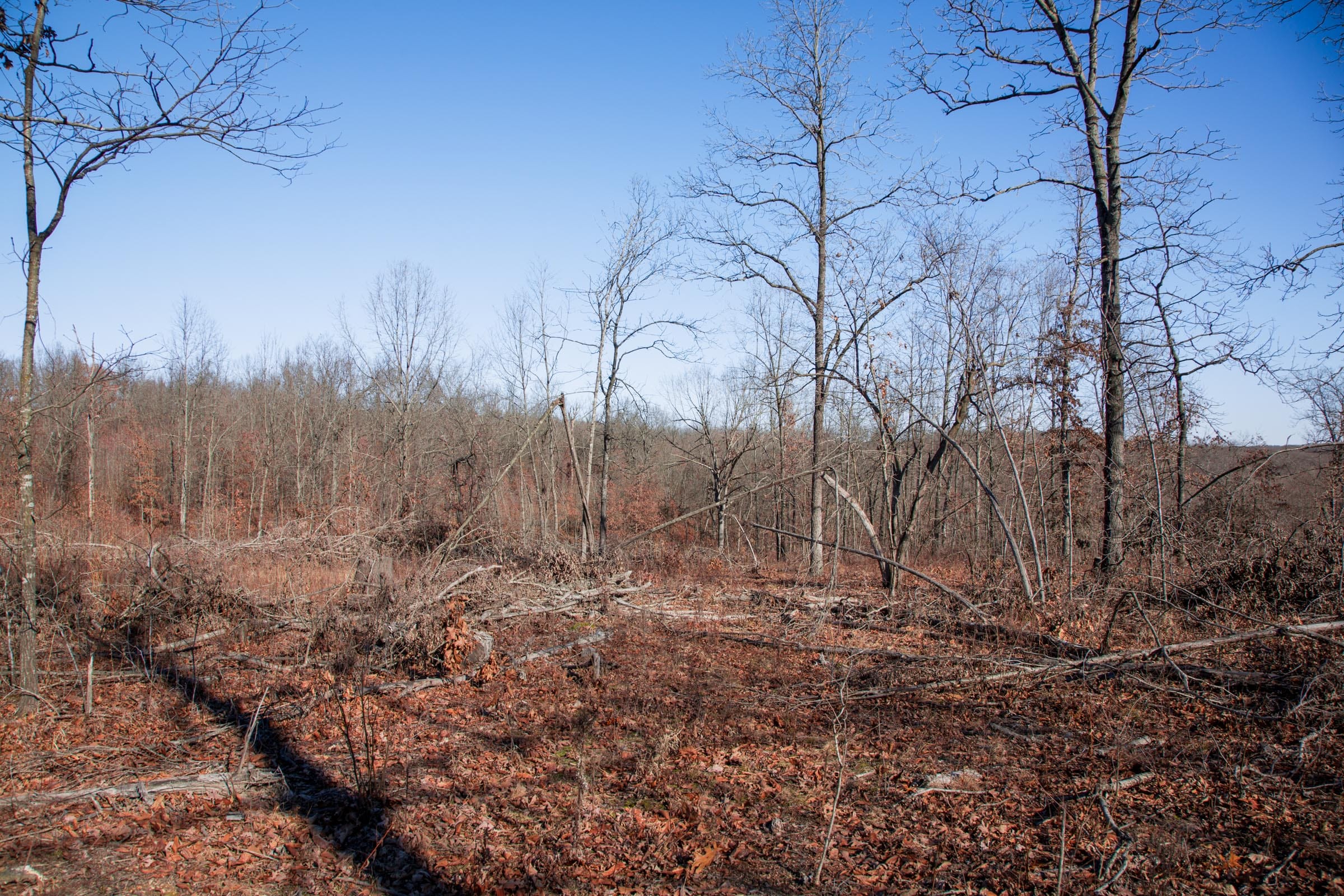 Buffalo Hills Tract 22 photo 7