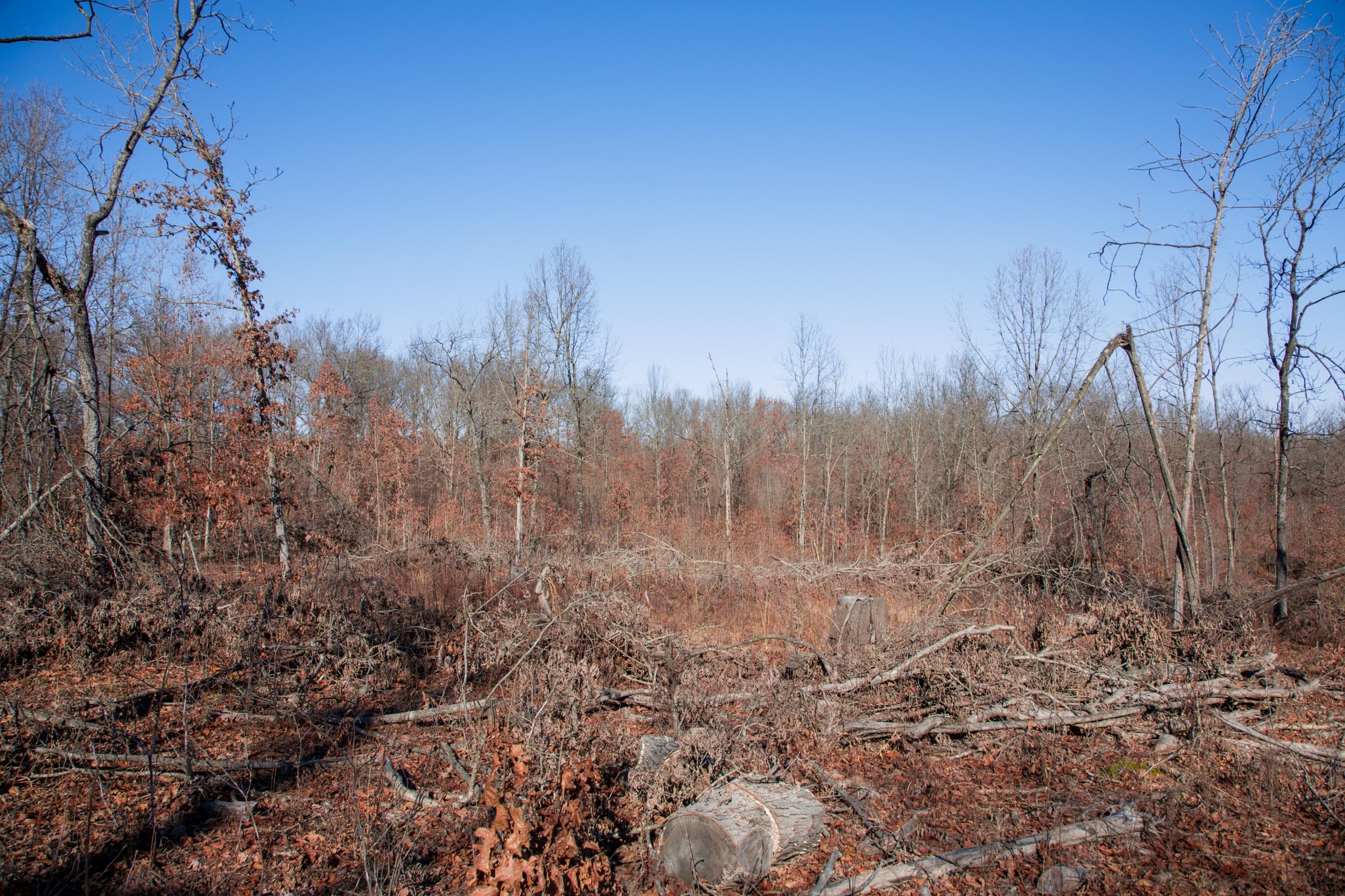 Buffalo Hills Tract 22 photo 8