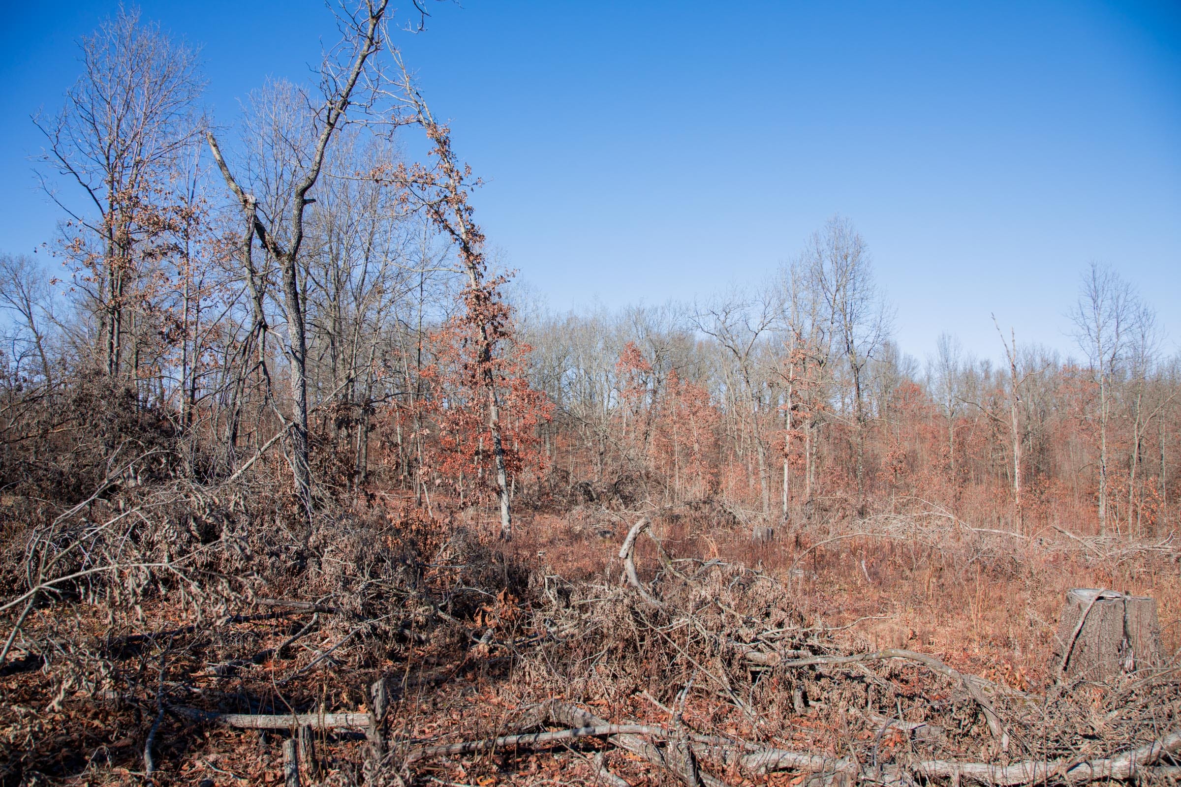 Buffalo Hills Tract 22 photo 9