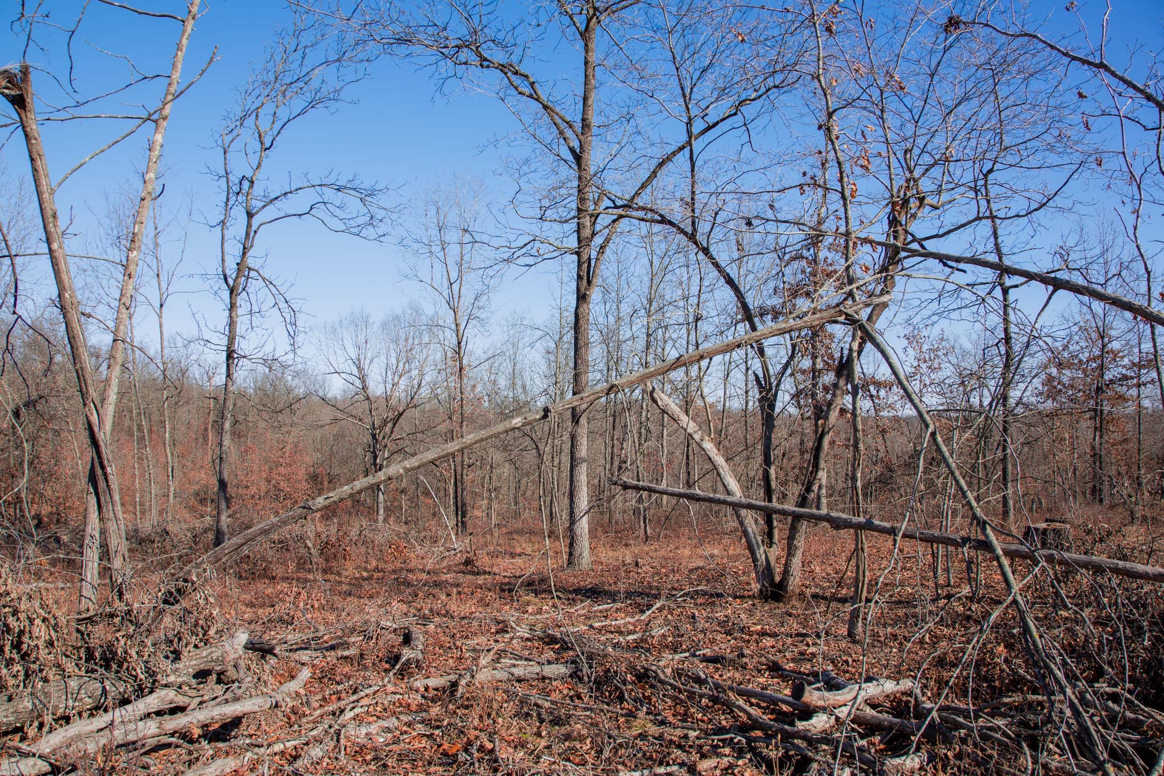 Buffalo Hills Tract 22 photo 10