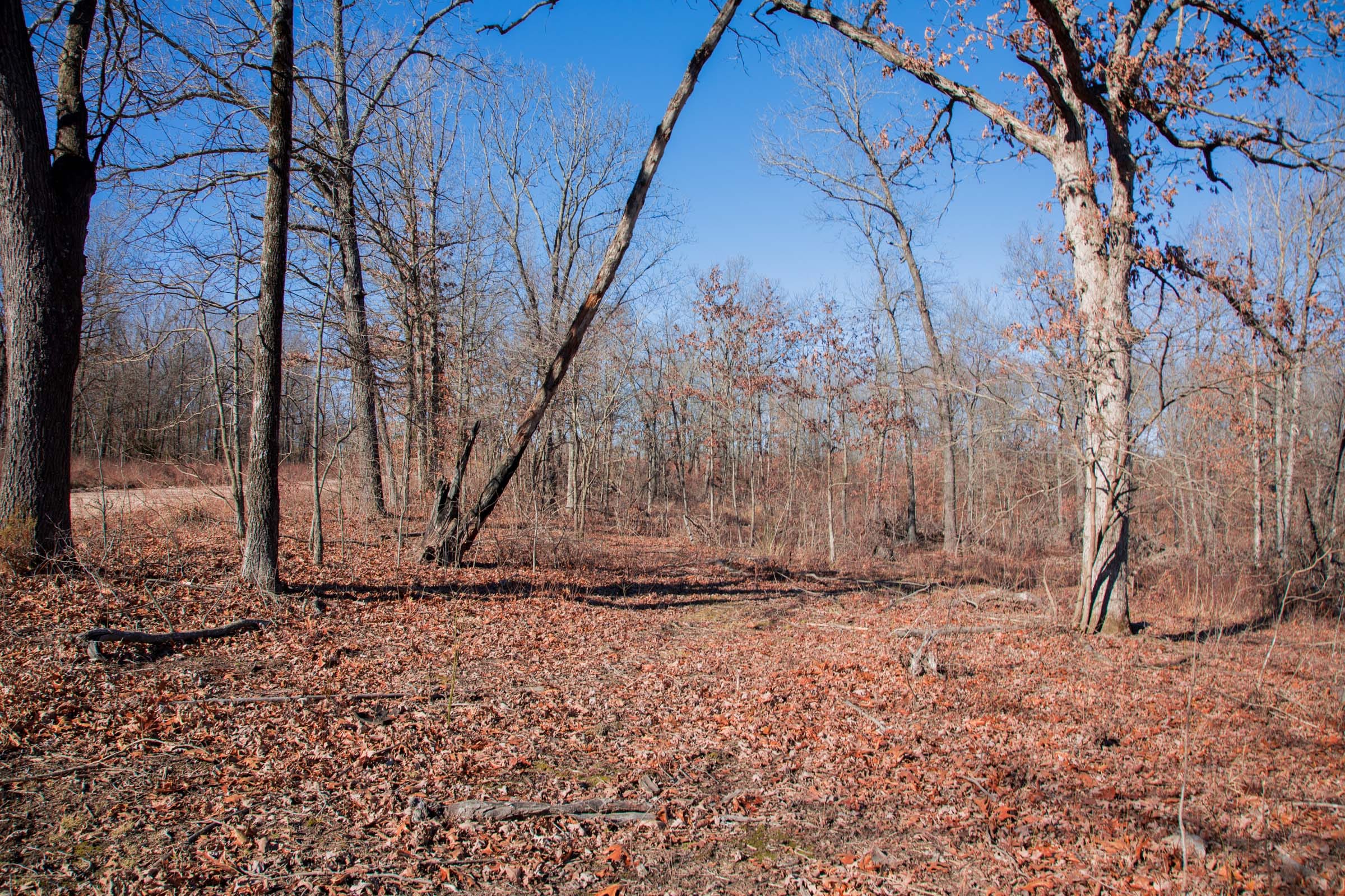 Buffalo Hills Tract 22 photo 12