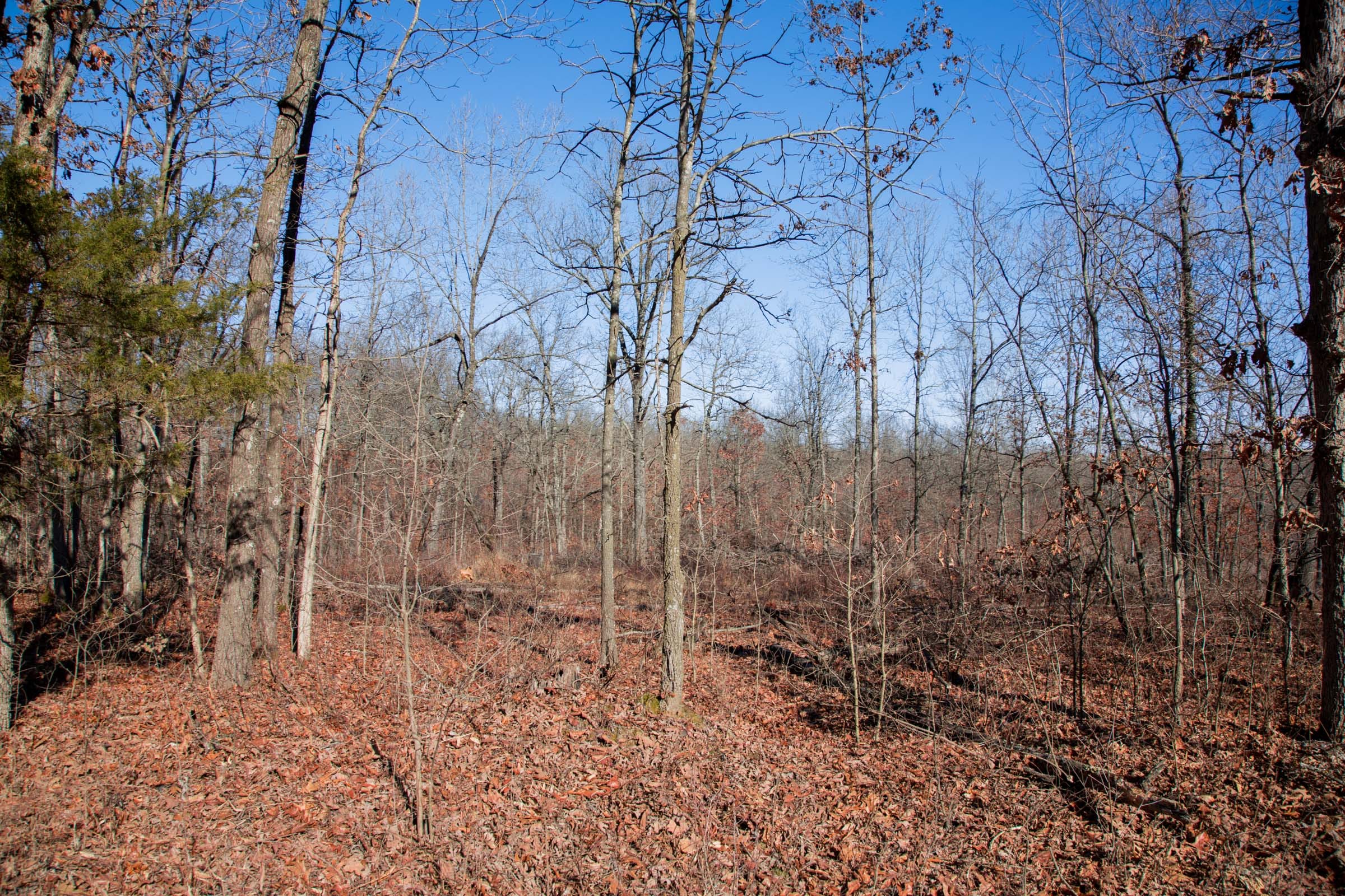 Buffalo Hills Tract 22 photo 13