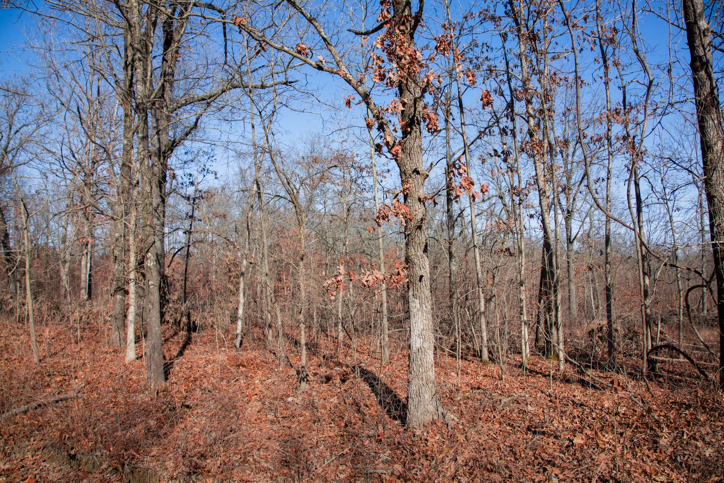 Buffalo Hills Tract 22 photo 14