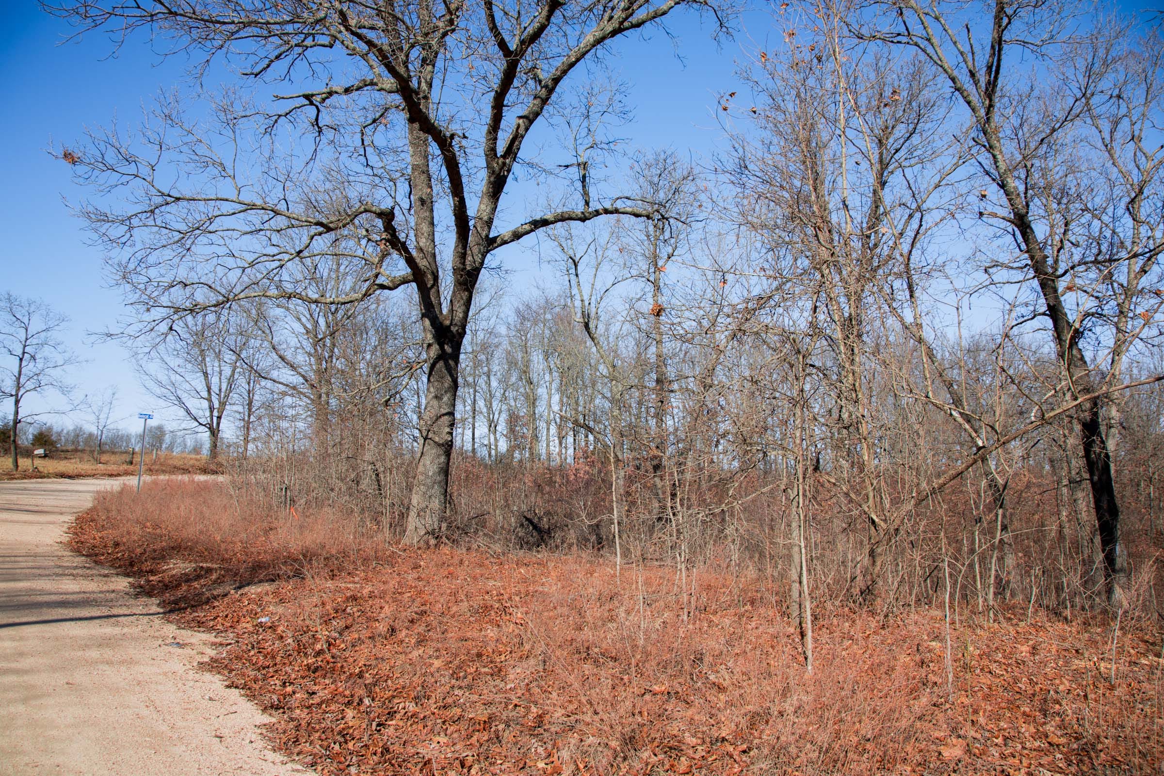 Buffalo Hills Tract 22 photo 15