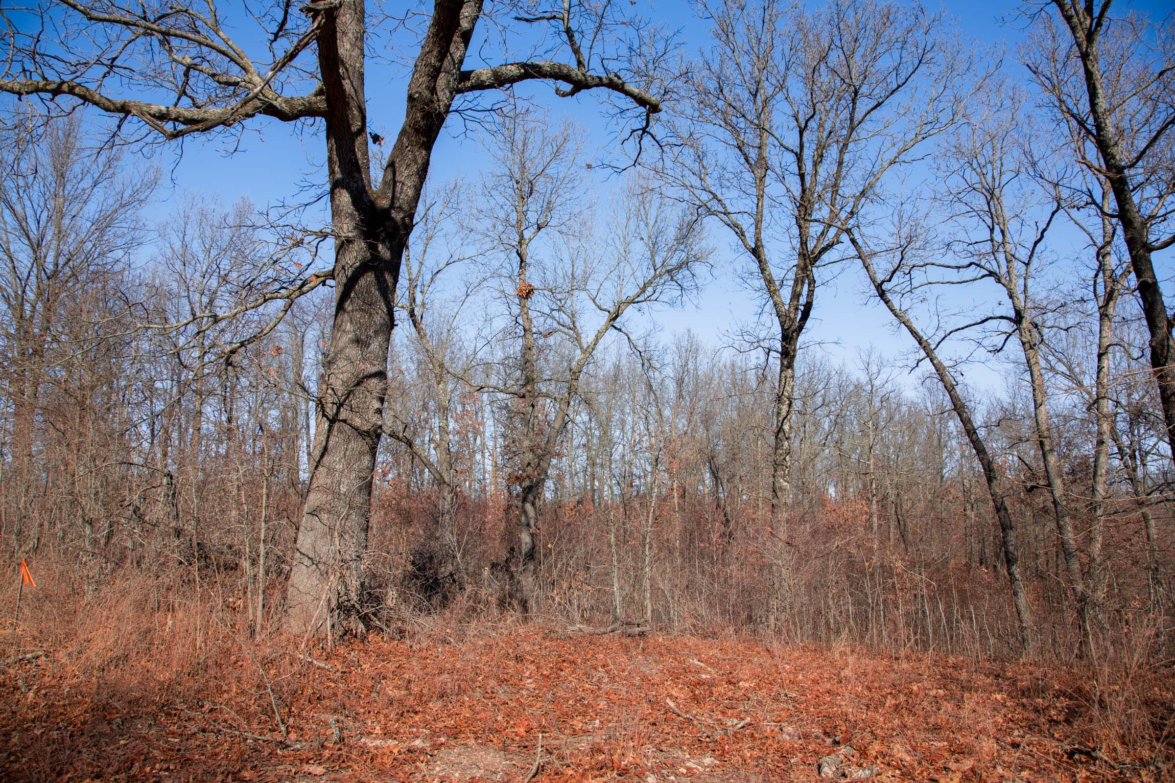Buffalo Hills Tract 22 photo 16