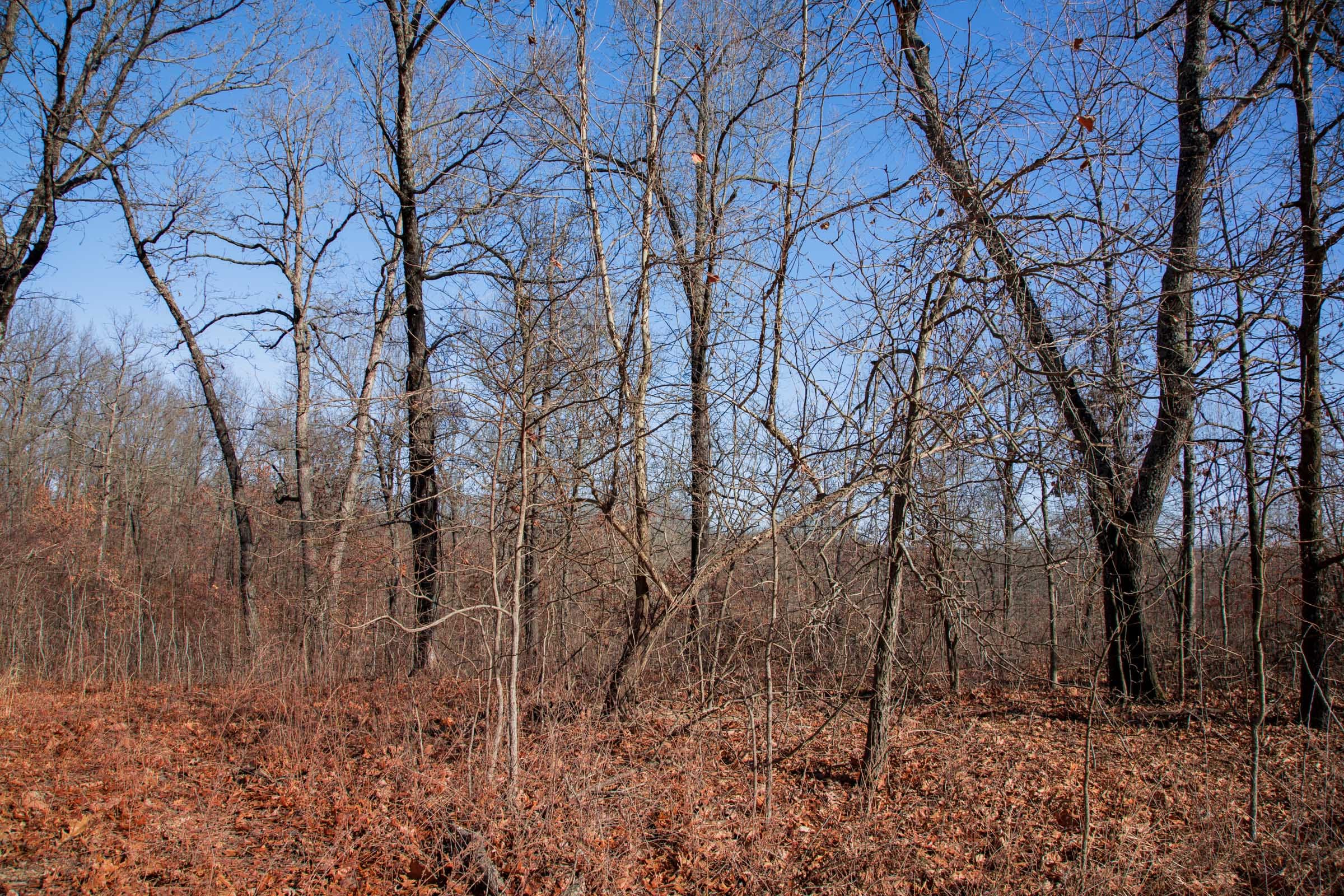 Buffalo Hills Tract 22 photo 17