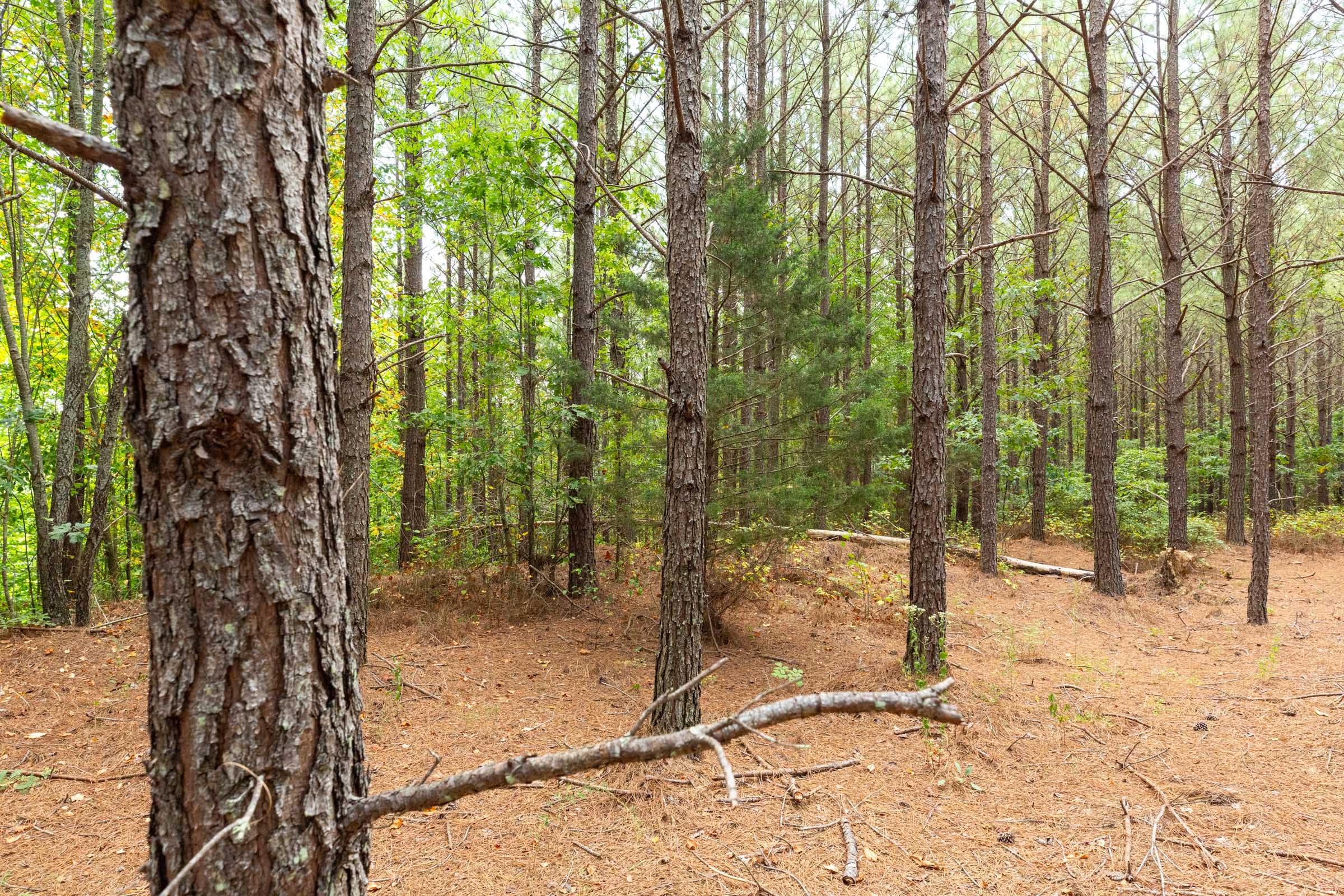 Harvest Ridge Tract 3 photo 2