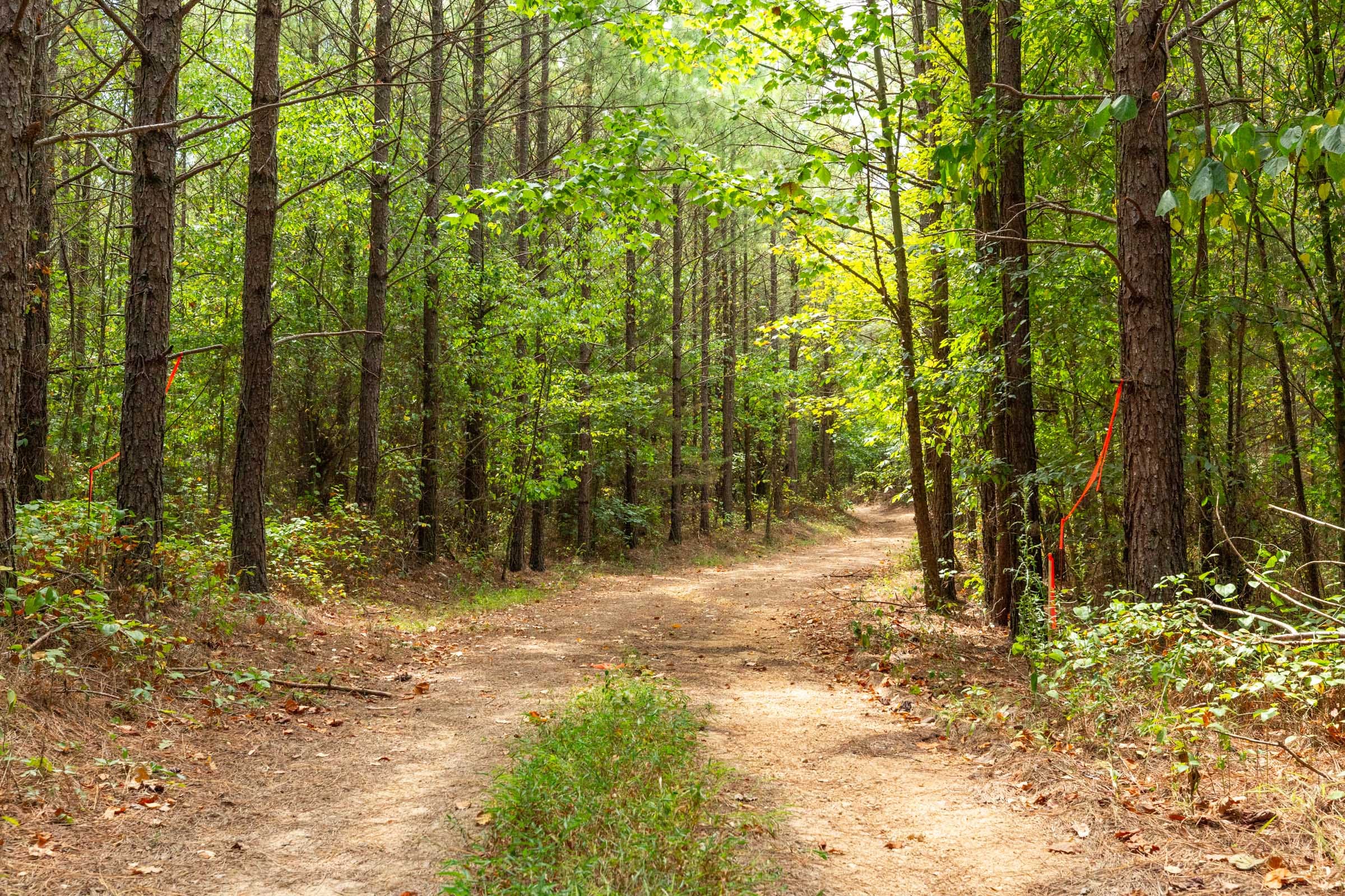 Harvest Ridge Tract 3 photo 1