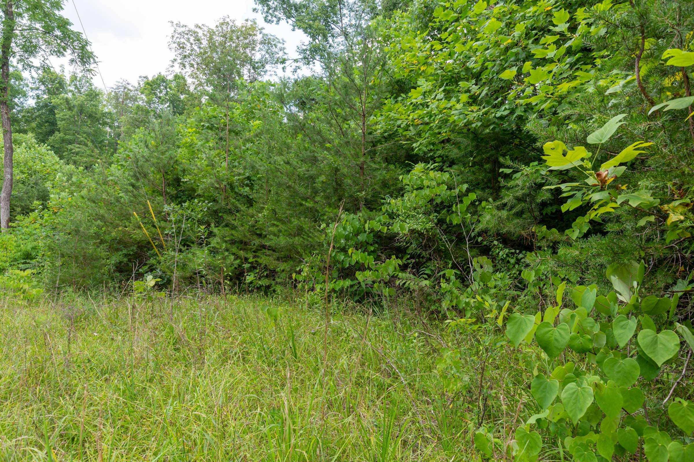 Tucker Hollow Tract 4 photo 9