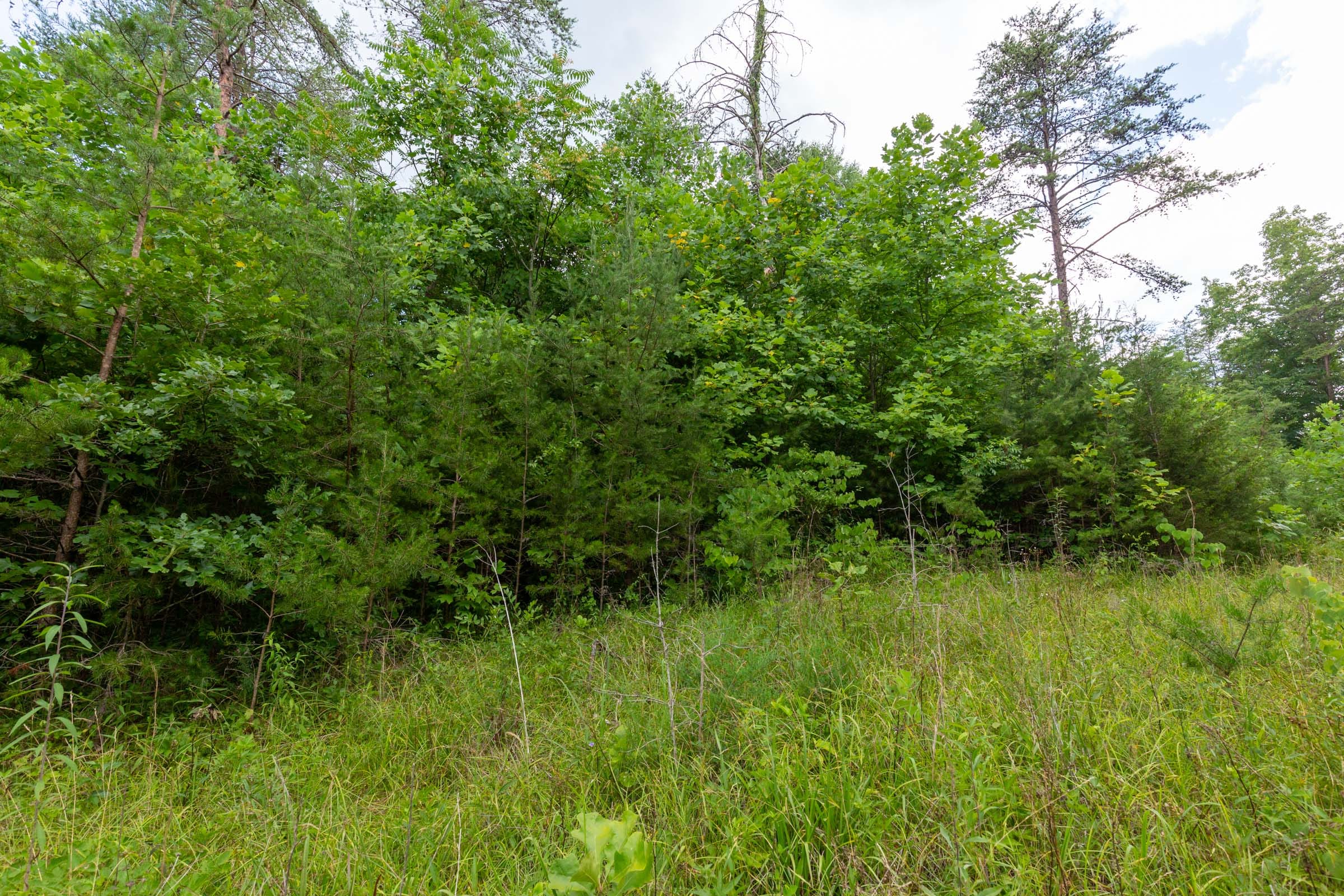 Tucker Hollow Tract 4 photo 11