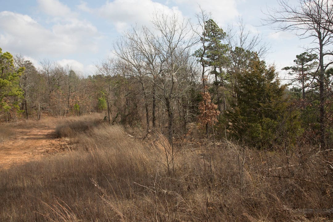 Stone Creek Phase III Tract 67 photo 2