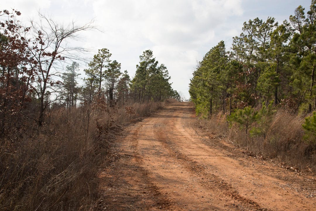 Stone Creek Phase III Tract 67 photo 4