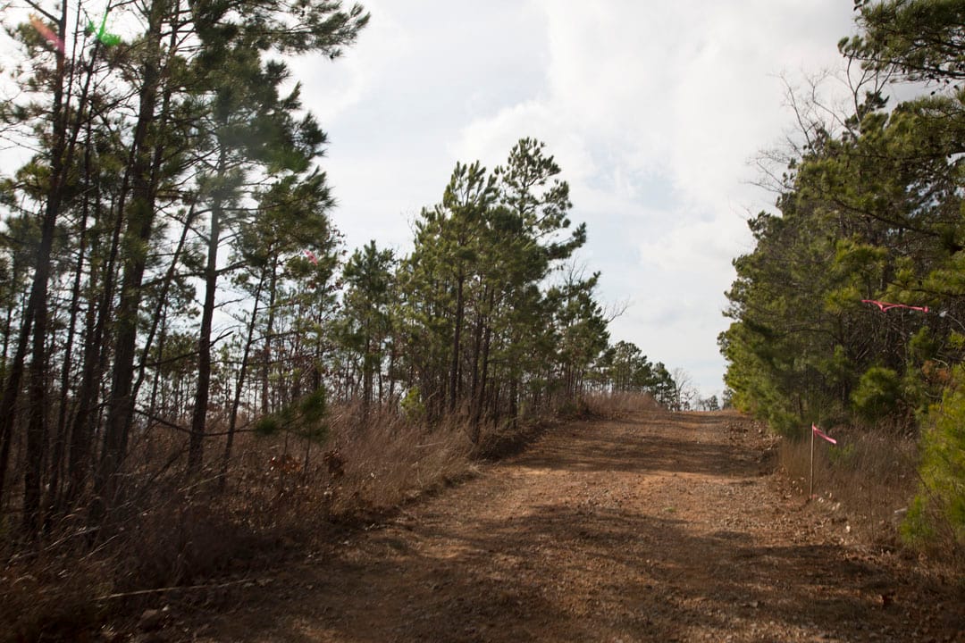 Stone Creek Phase III Tract 67 photo 6
