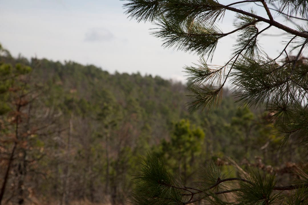 Stone Creek Phase III Tract 67 photo 7