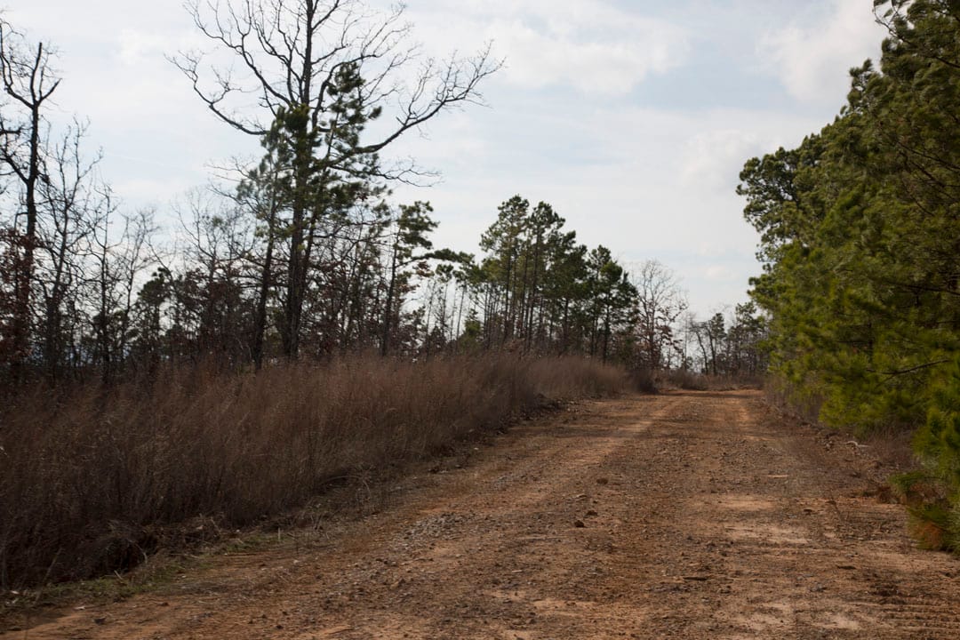 Stone Creek Phase III Tract 67 photo 8