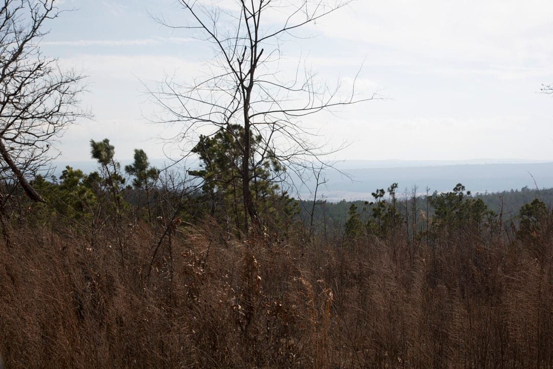 Stone Creek Phase III Tract 67 photo 10
