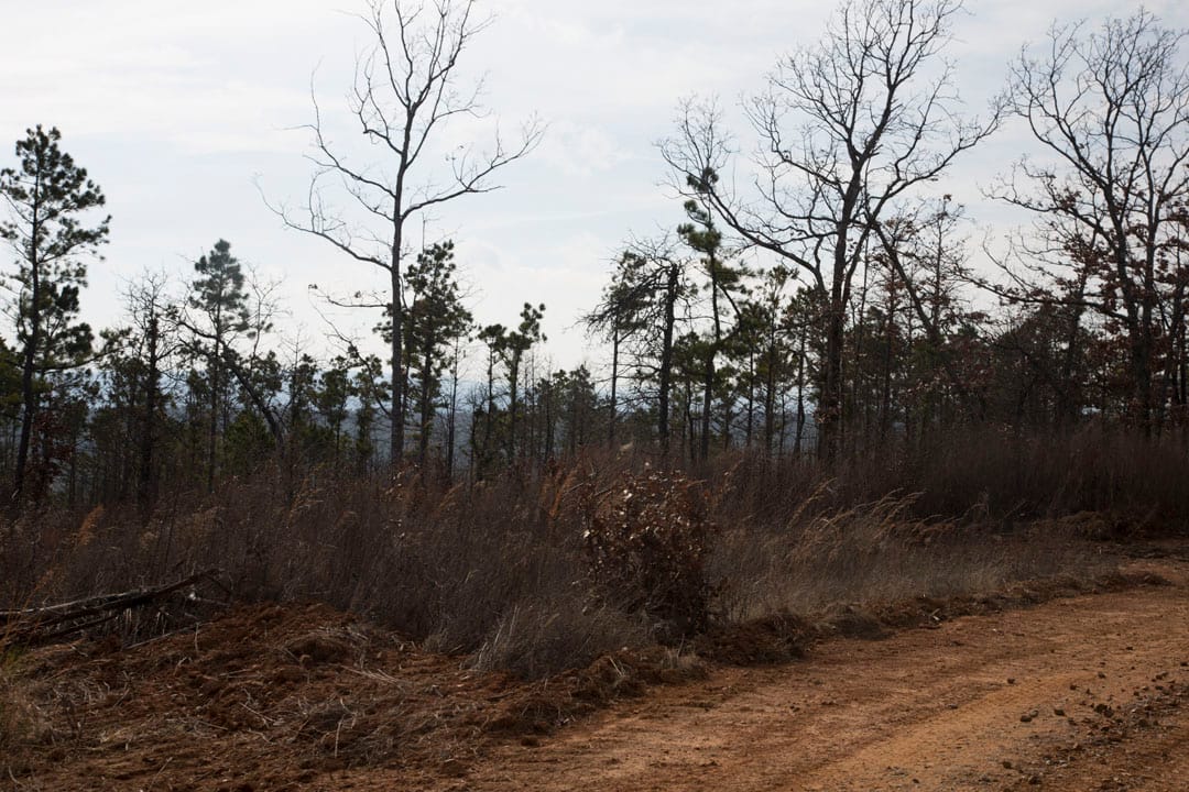 Stone Creek Phase III Tract 67 photo 11