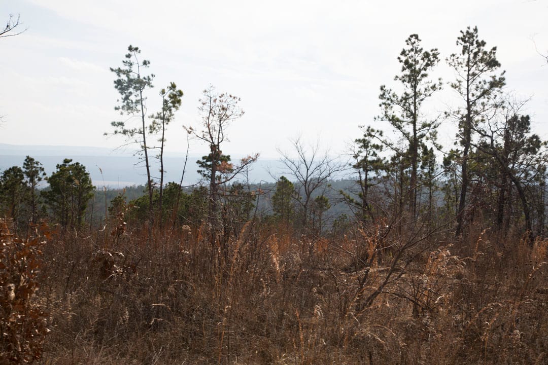 Stone Creek Phase III Tract 67 photo 12