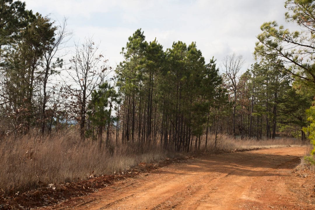 Stone Creek Phase III Tract 67 photo 13