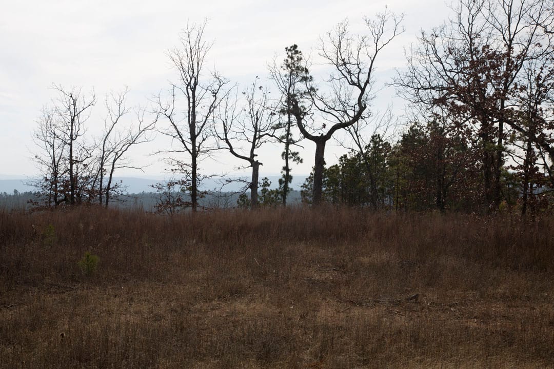 Stone Creek Phase III Tract 67 photo 14