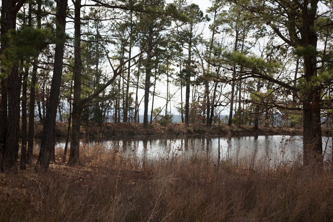 Stone Creek Phase III Tract 67 photo 15