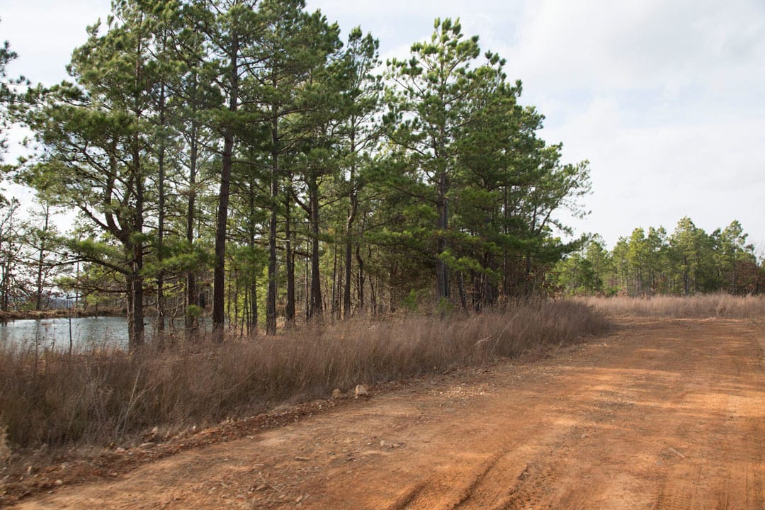 Stone Creek Phase III Tract 67 photo 16